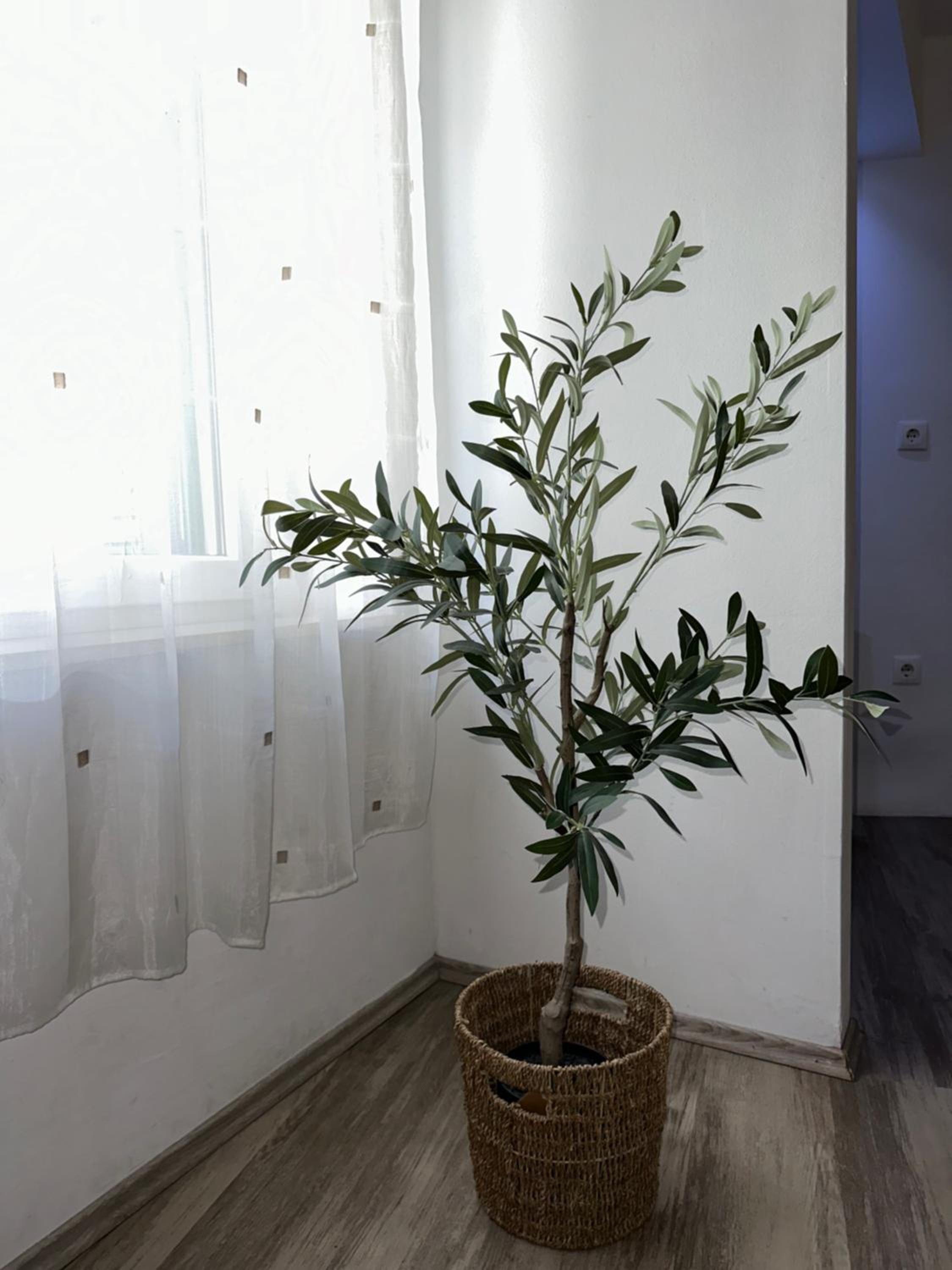 Photo 22