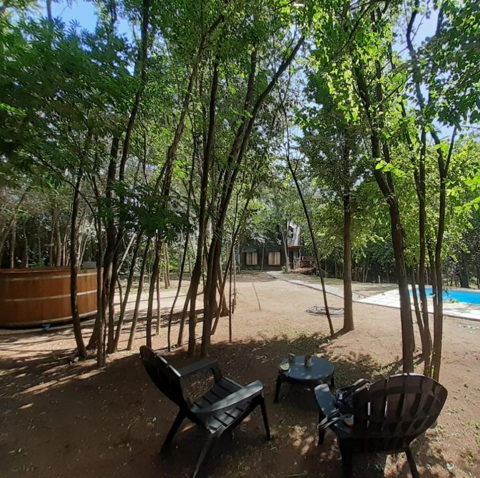 La Casa Del Bosque