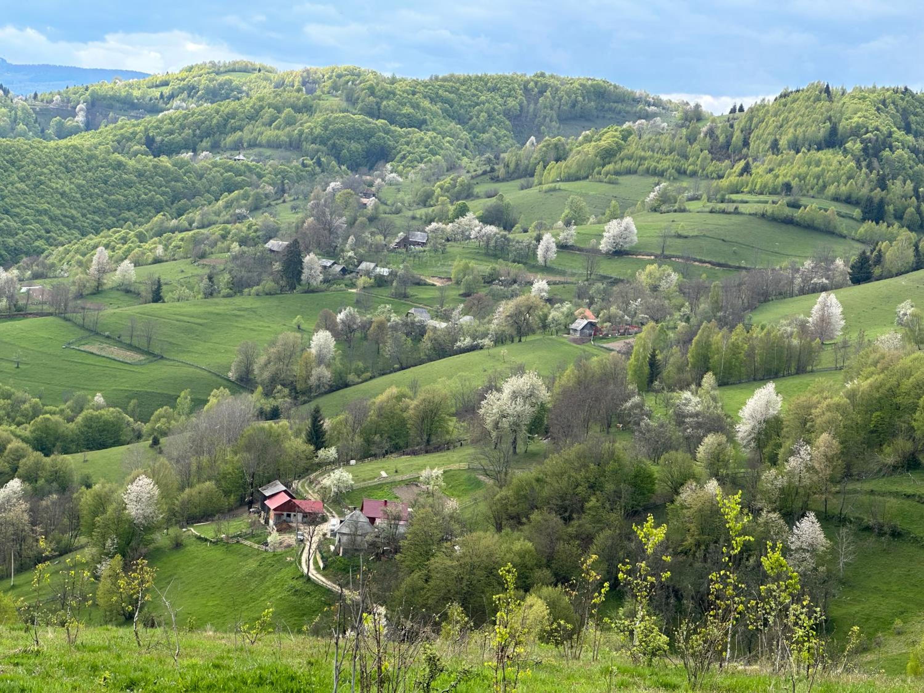 Casa de vacanța Ovy