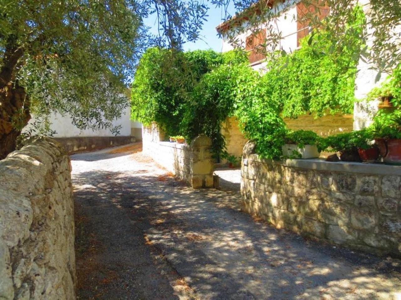 Villa Luce view 4