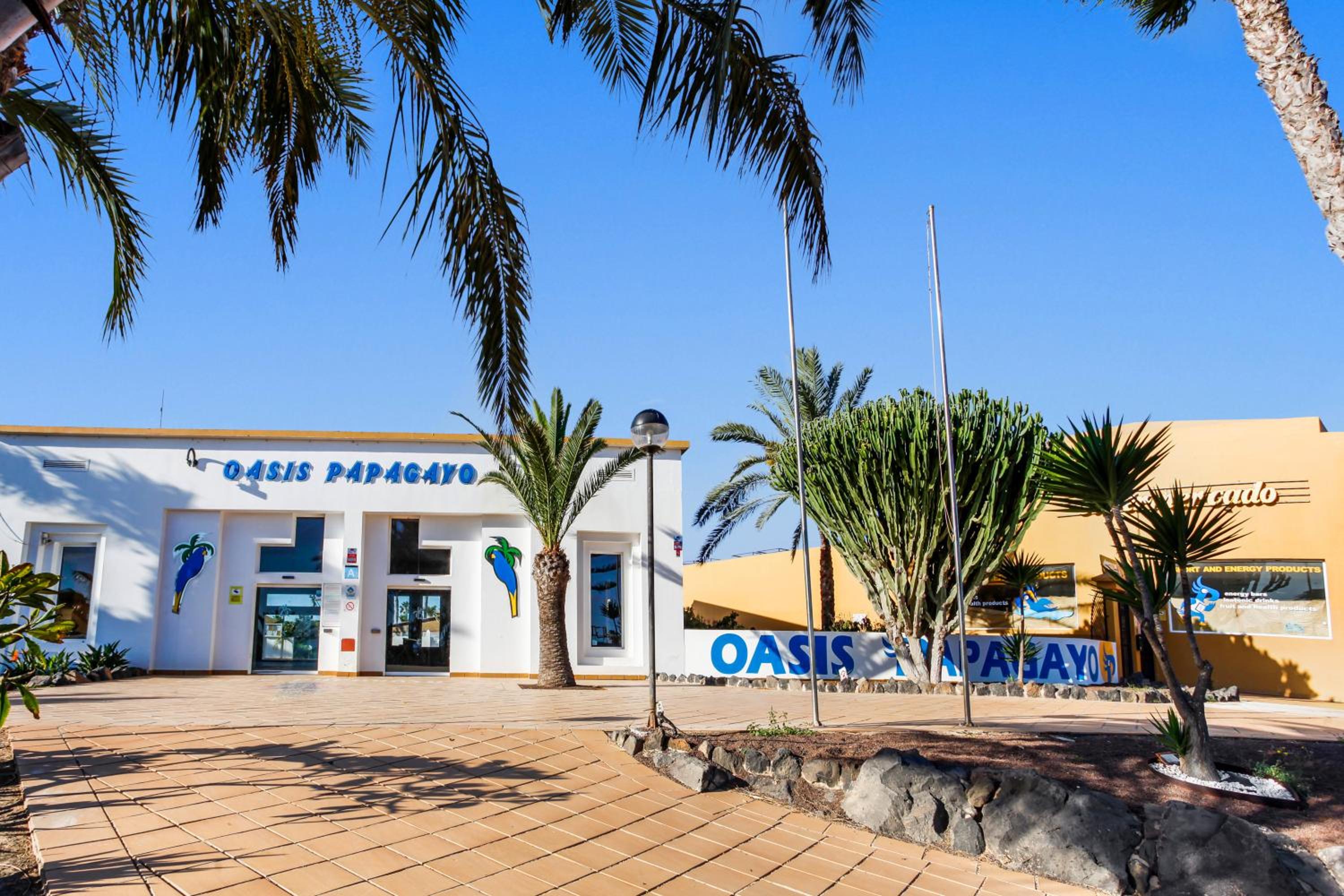 Apartamento Papagayo