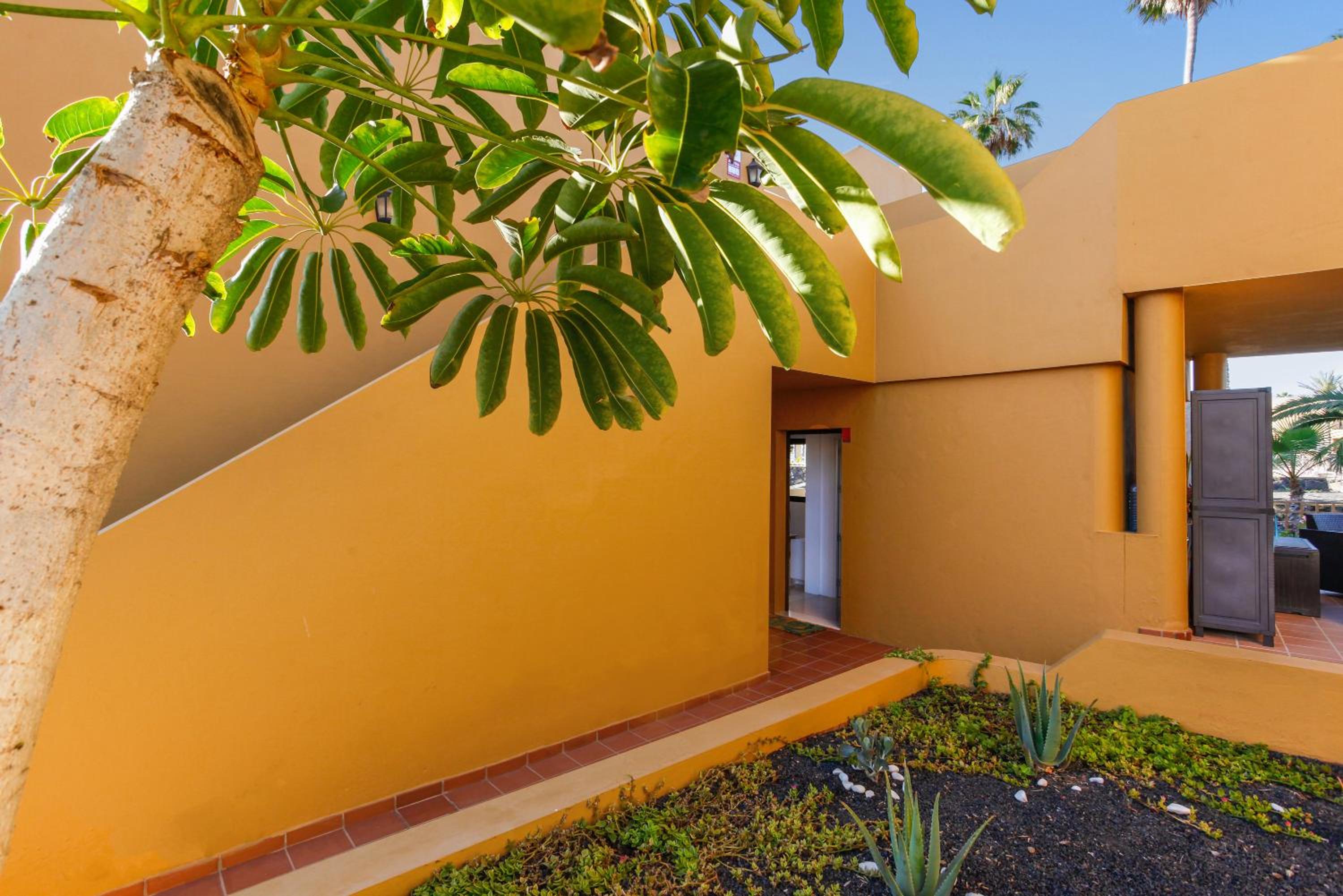 Apartamento Papagayo