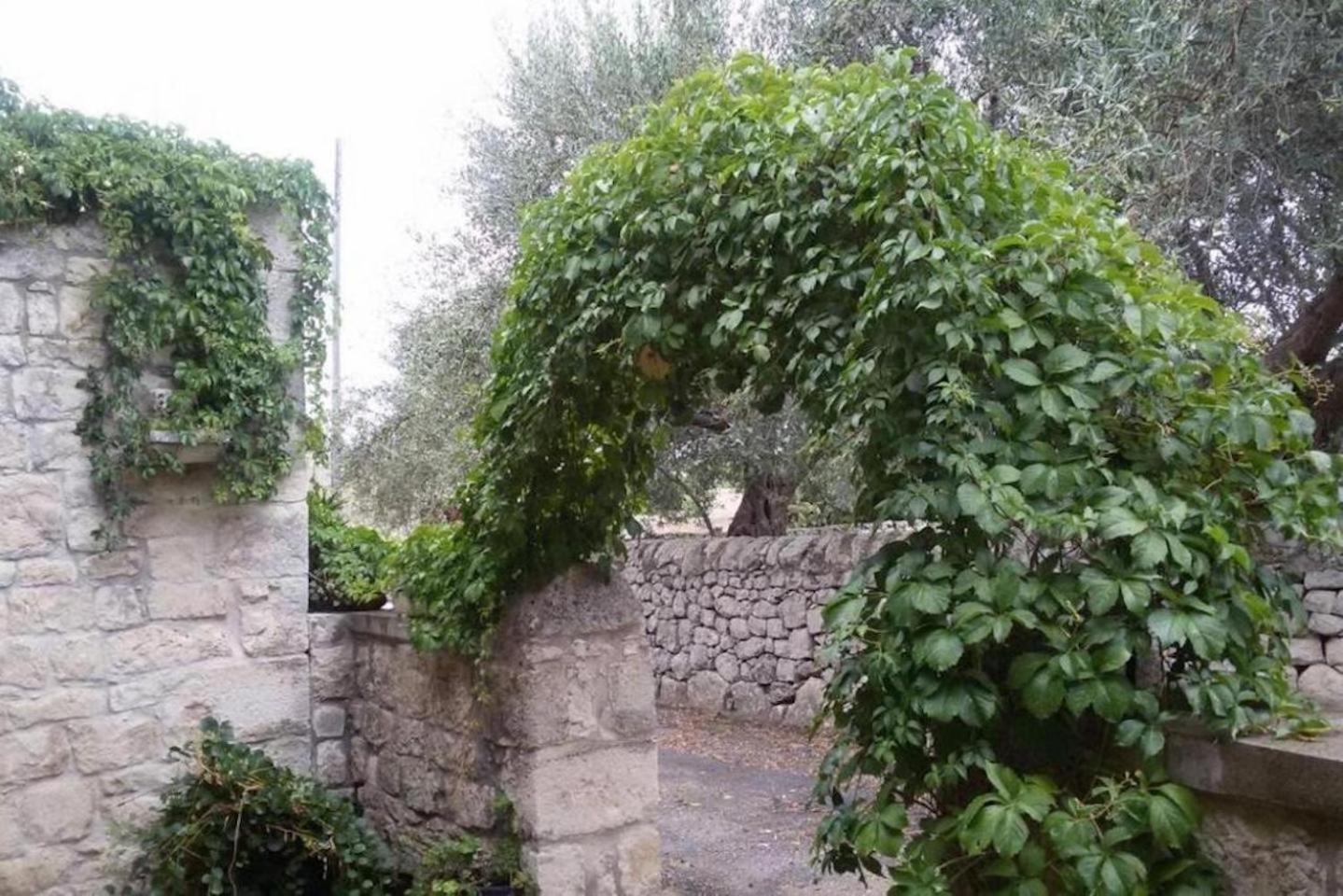Villa Luce view 5