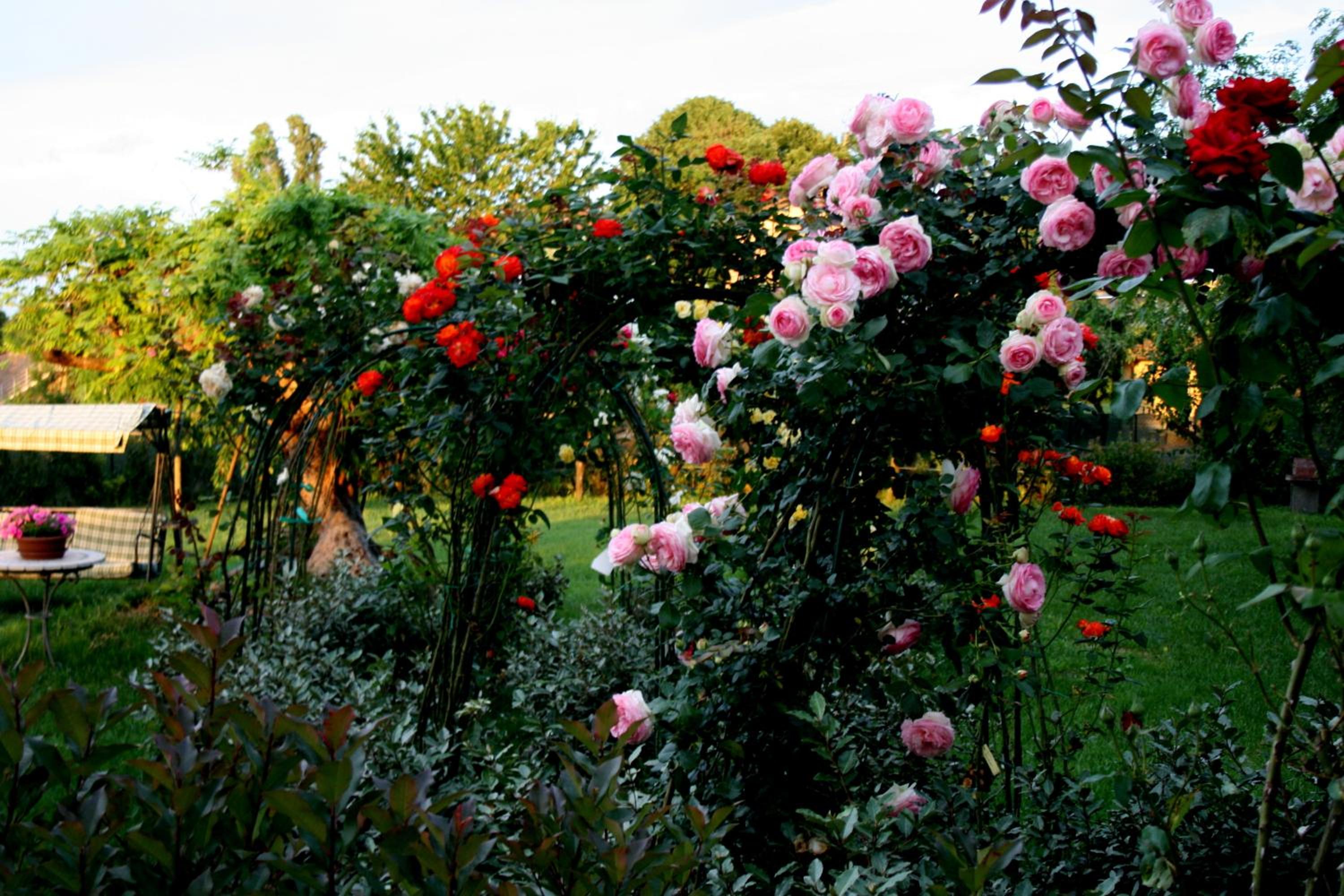 Agriturismo Argaland