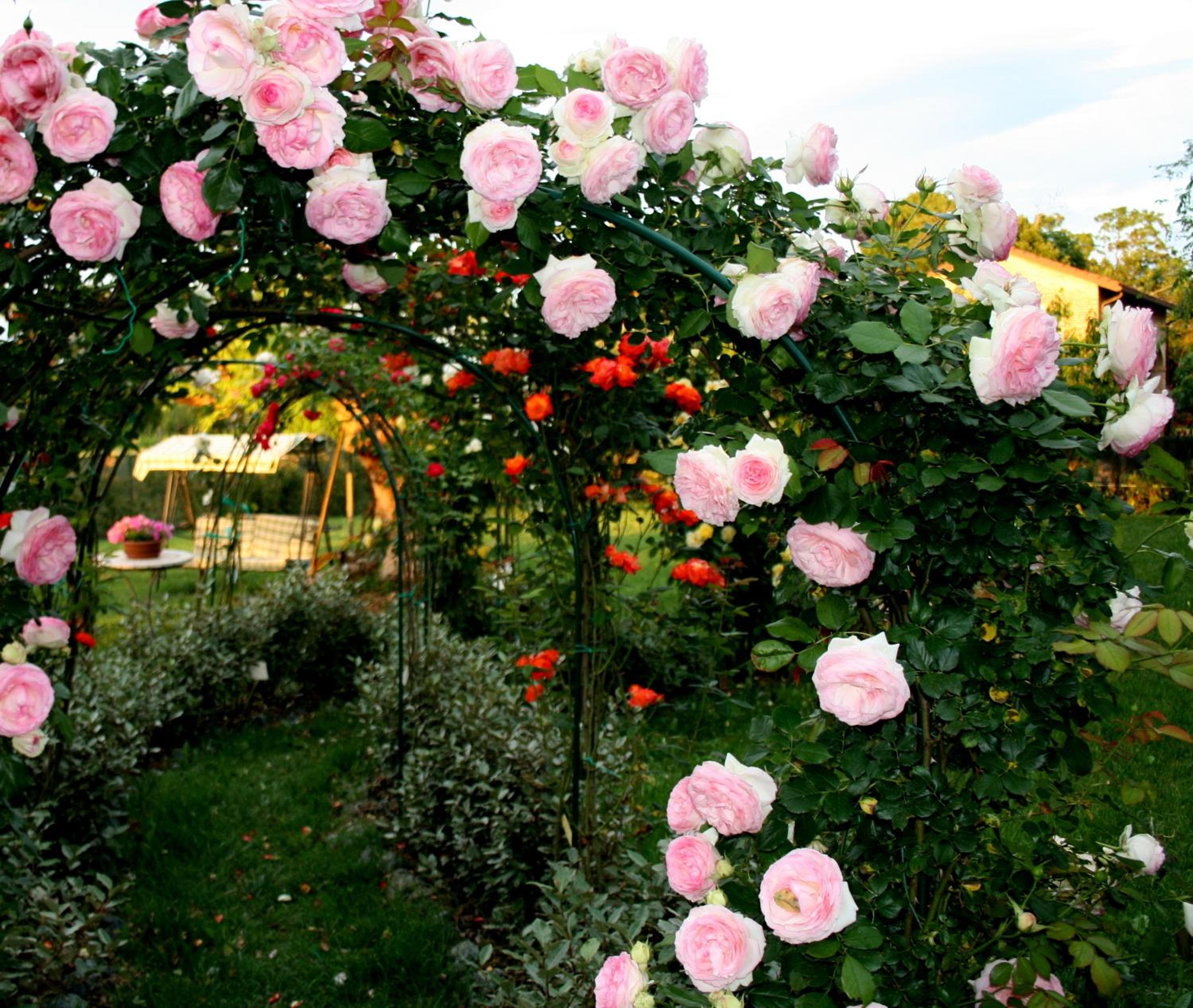 Agriturismo Argaland
