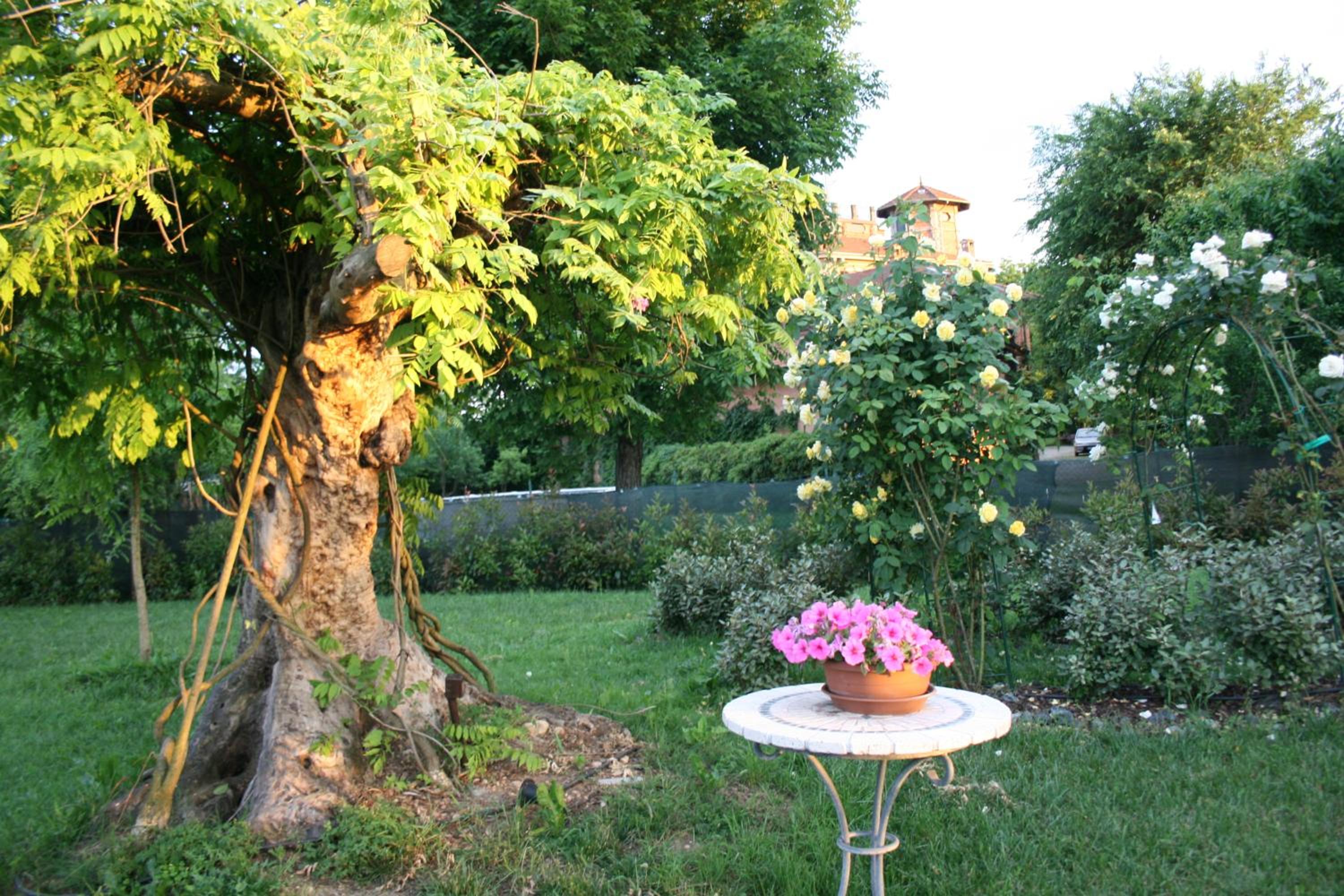 Agriturismo Argaland