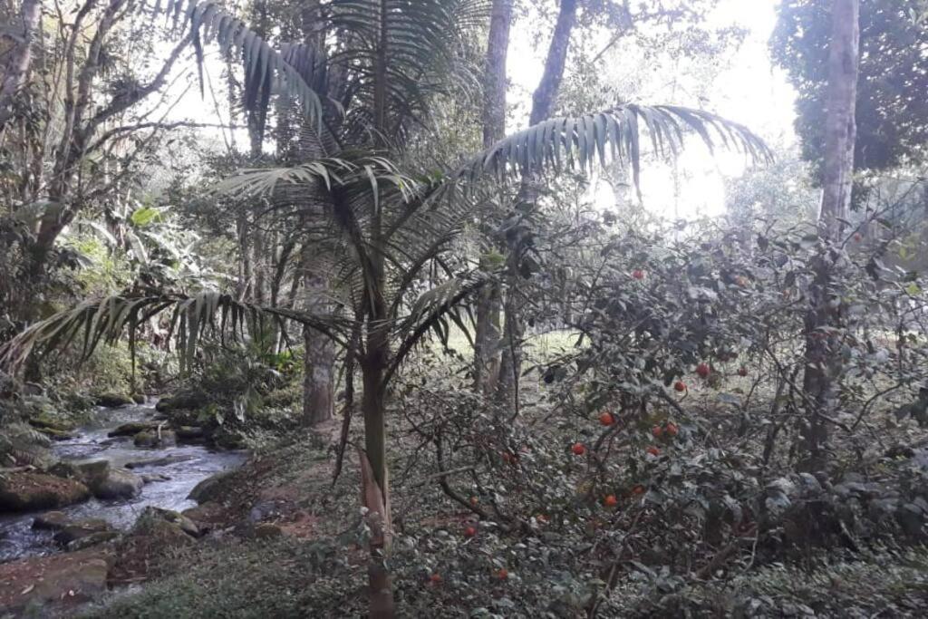Casa de campo agradável com piscina, parquinho, lago, riacho, quadra, sinuca e mais!