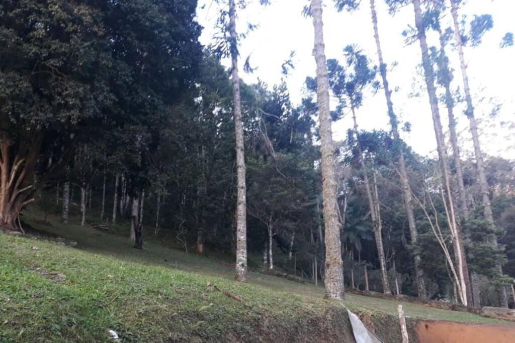 Casa de campo agradável com piscina, parquinho, lago, riacho, quadra, sinuca e mais!