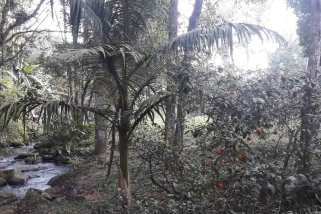 Casa de campo agradável com piscina, parquinho, lago, riacho, quadra, sinuca e mais!