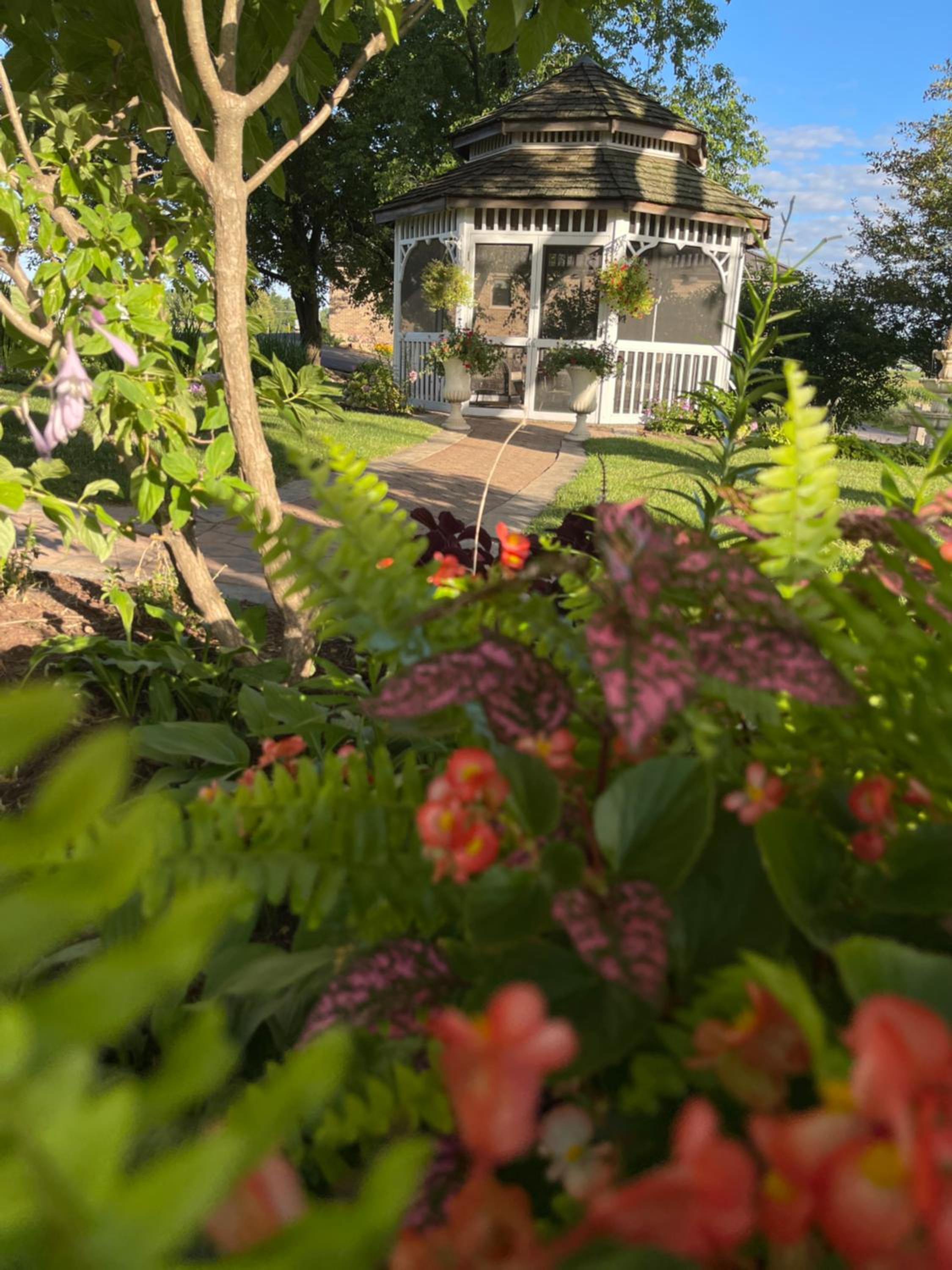 Cloran Mansion Bed & Breakfast view 4