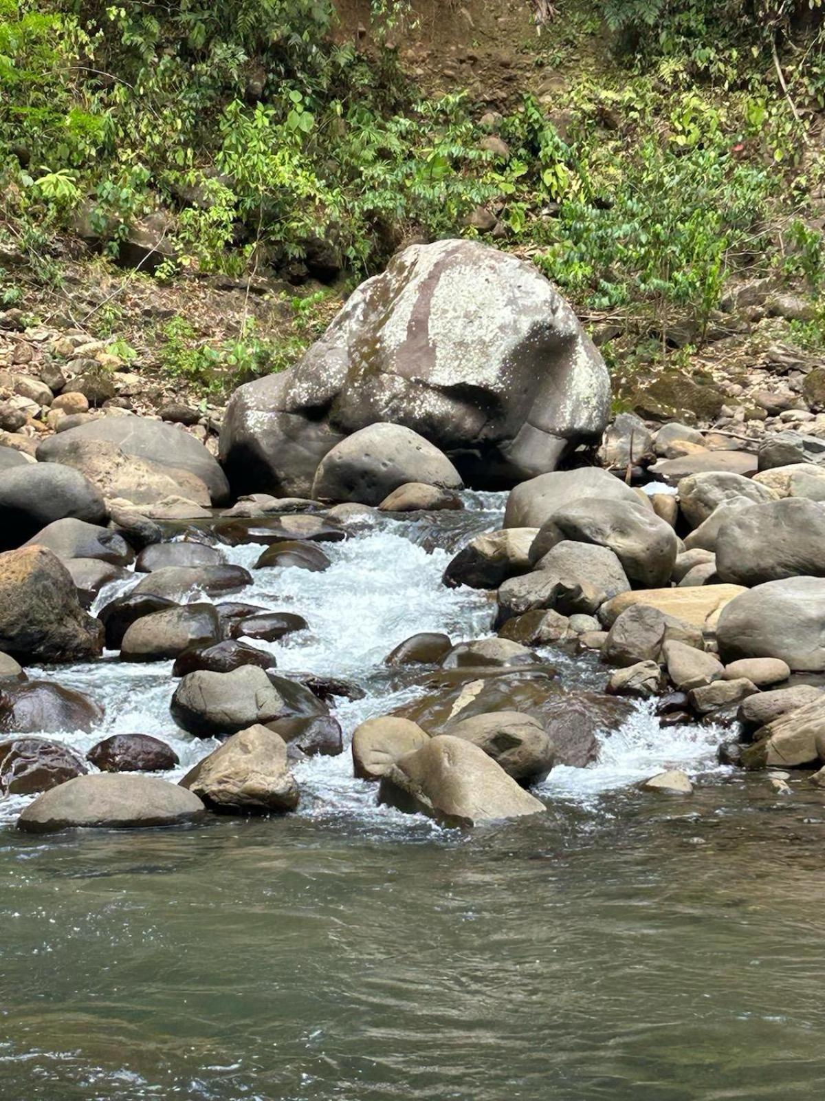 Cabin in Paradise with jacuzzi, free Wifi, and Relaxing sound of the river, Bungalows Tulipanes