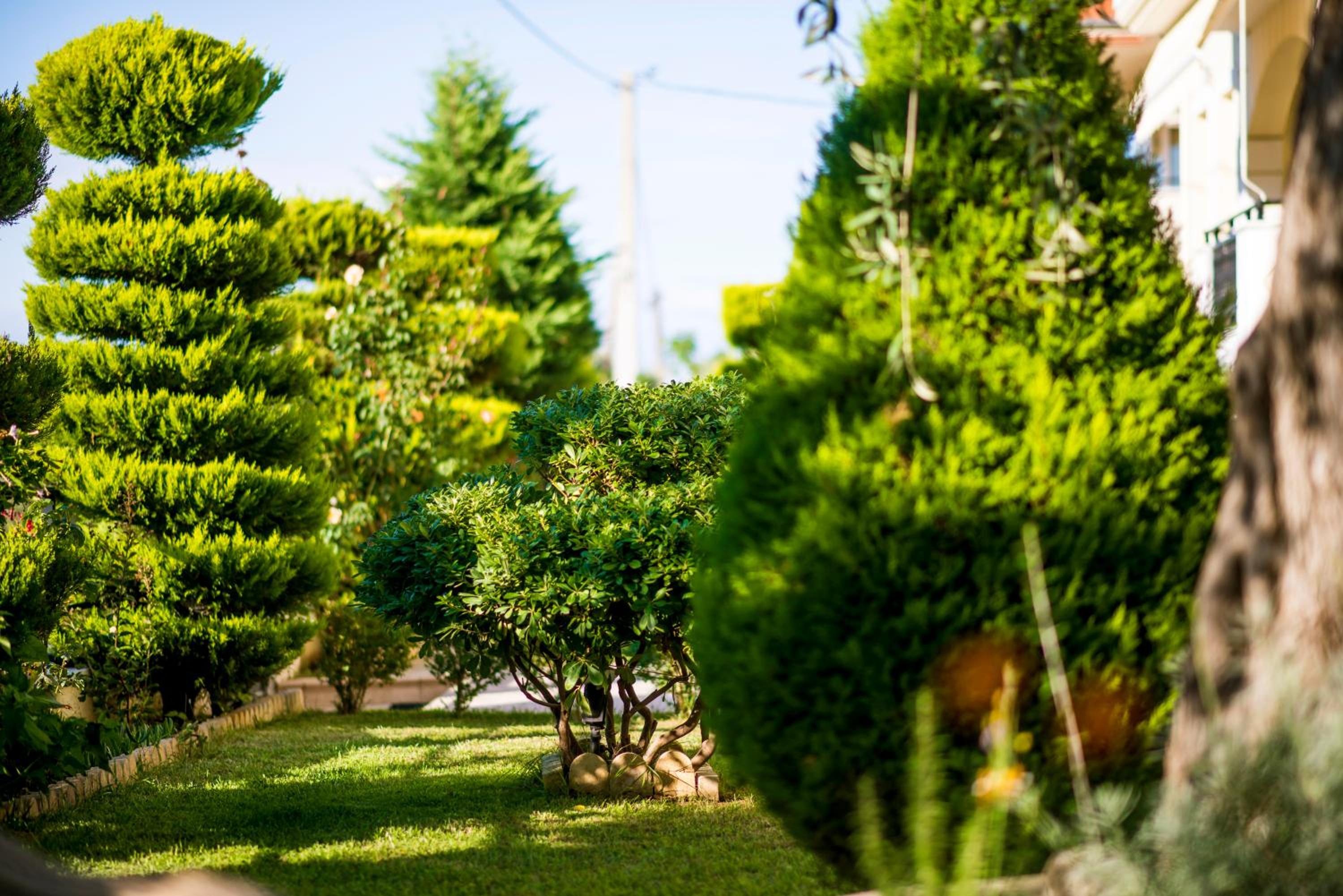 Mandani Villa Luxury Apartments