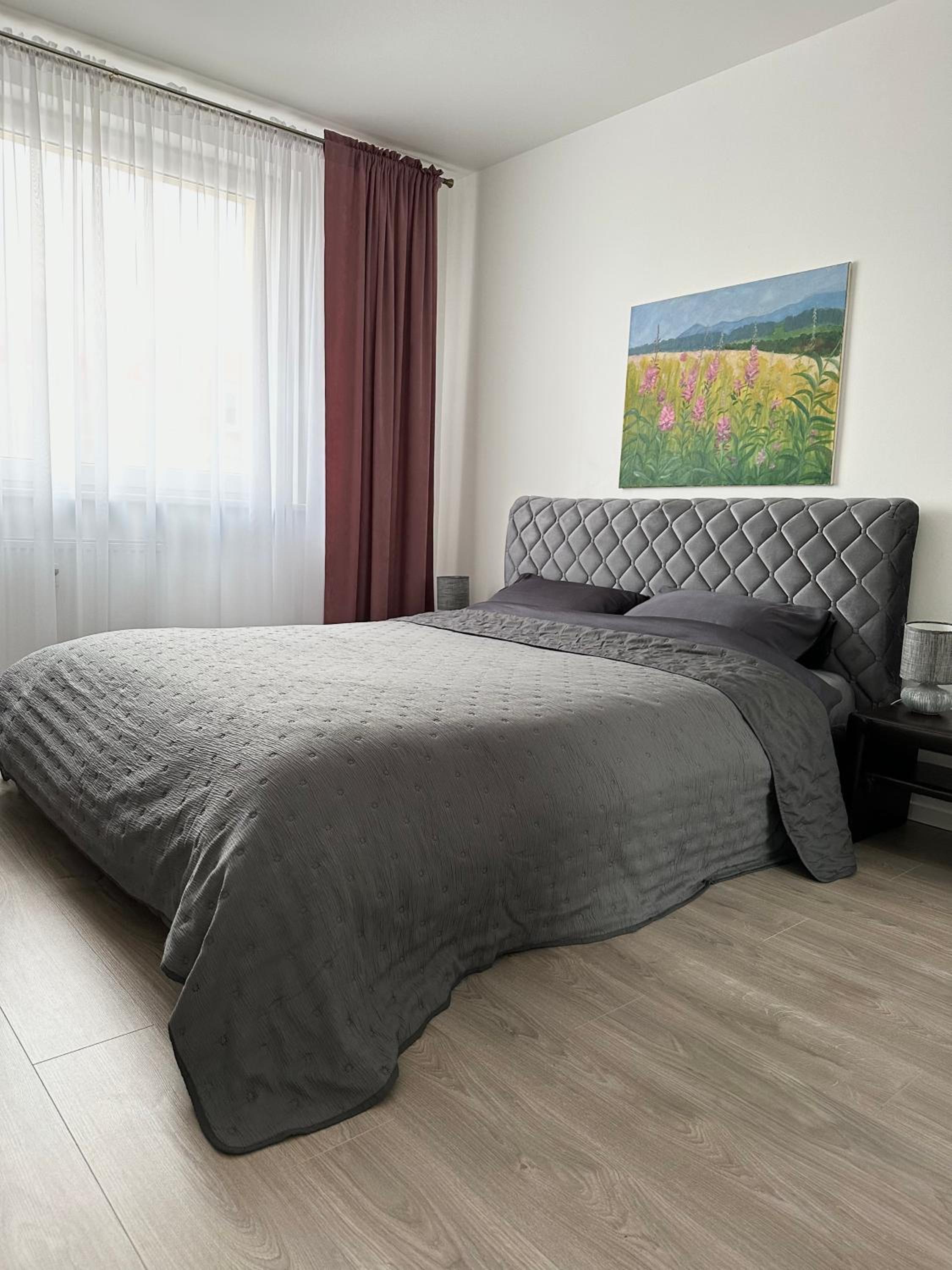 Jaukūs apartamentai Šilutėje