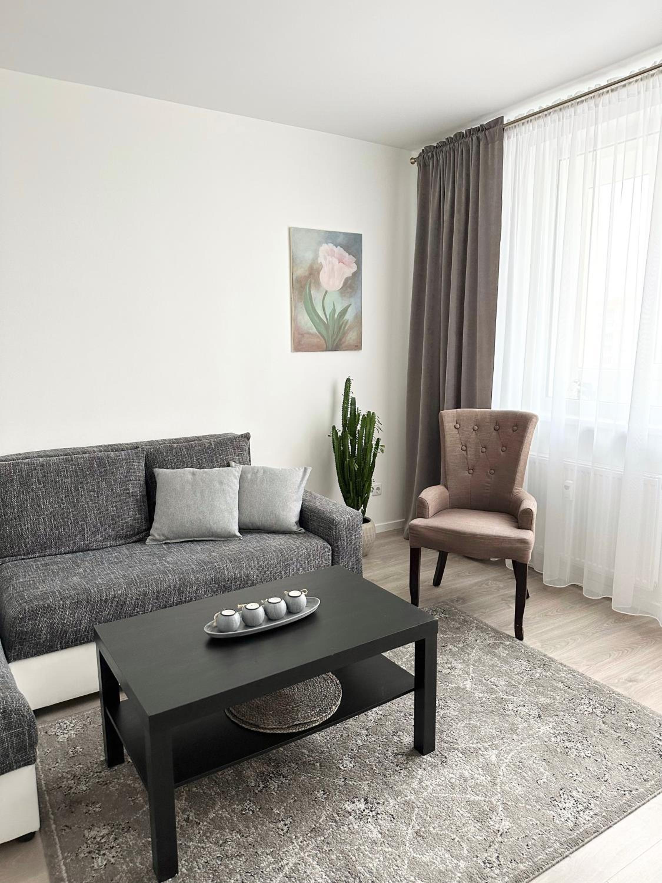 Jaukūs apartamentai Šilutėje