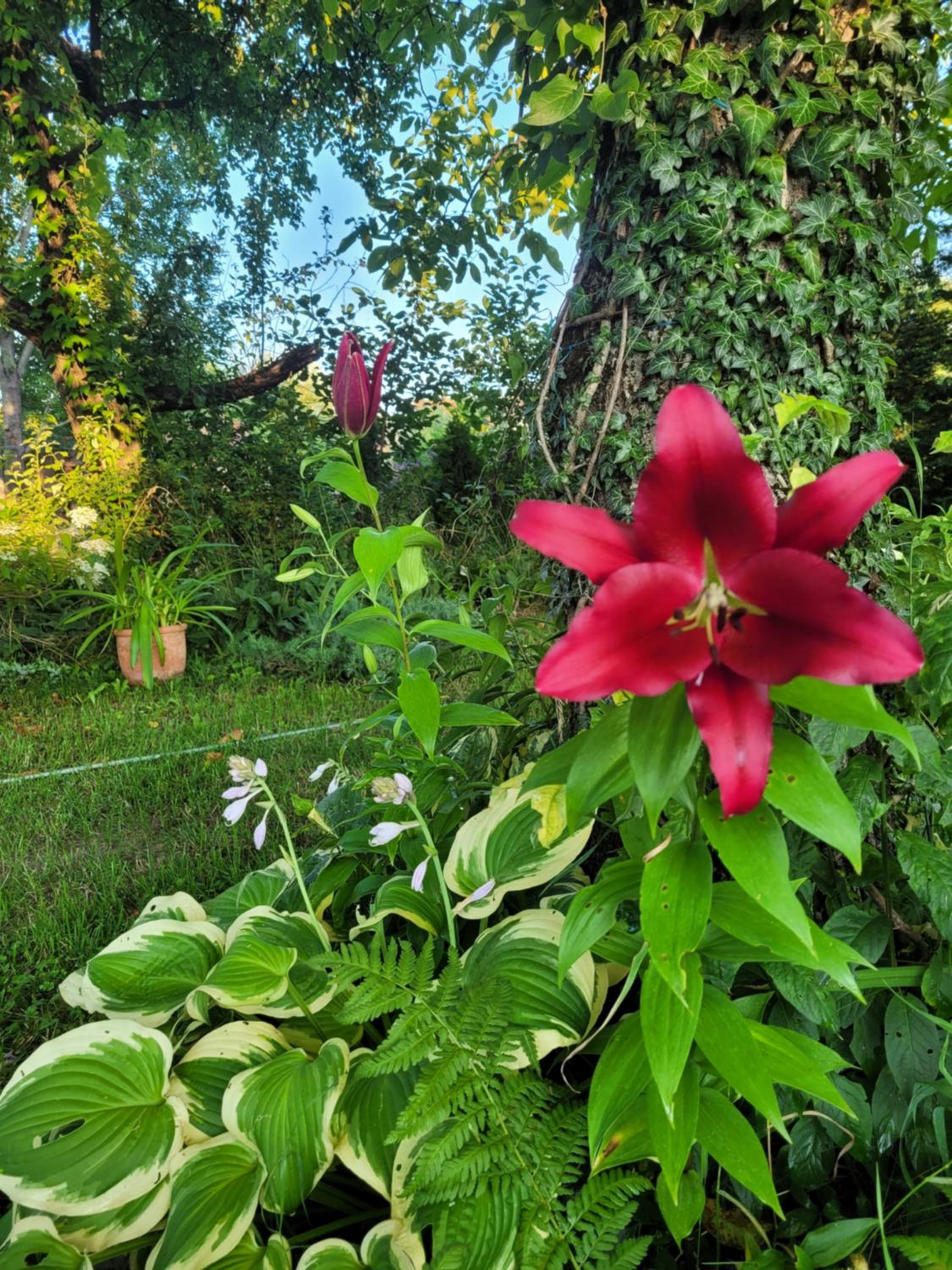 Kisbagoly Vendégház