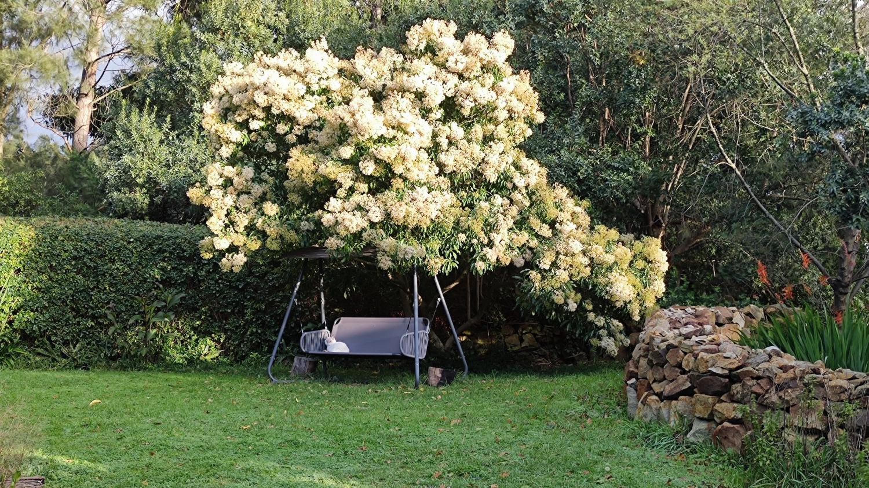 Blissful Country Garden King Bed Cottage view 2