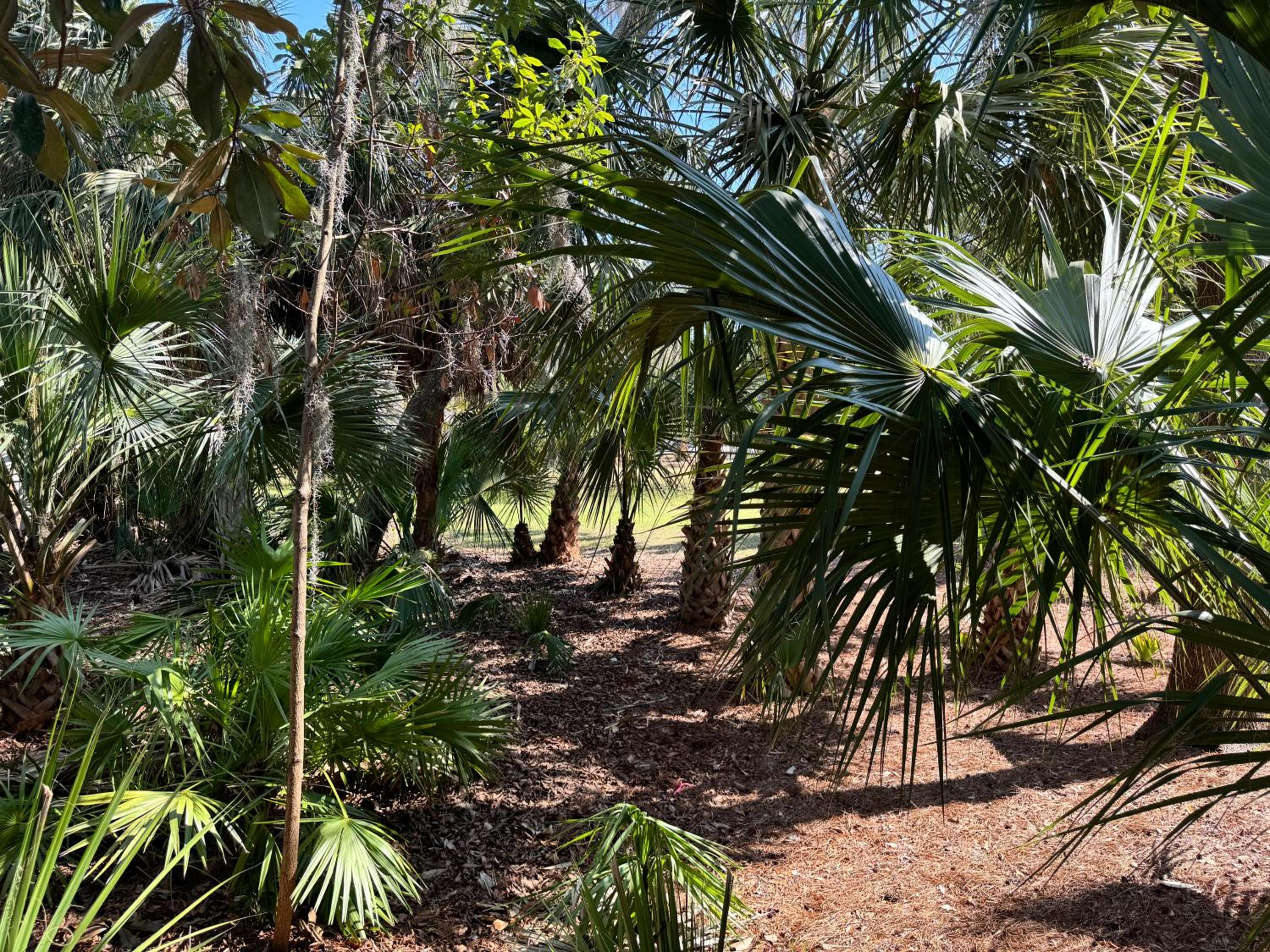 28 Night Heron - Two bedroom, two bath, pet friendly, 5 min walk to beach and pool