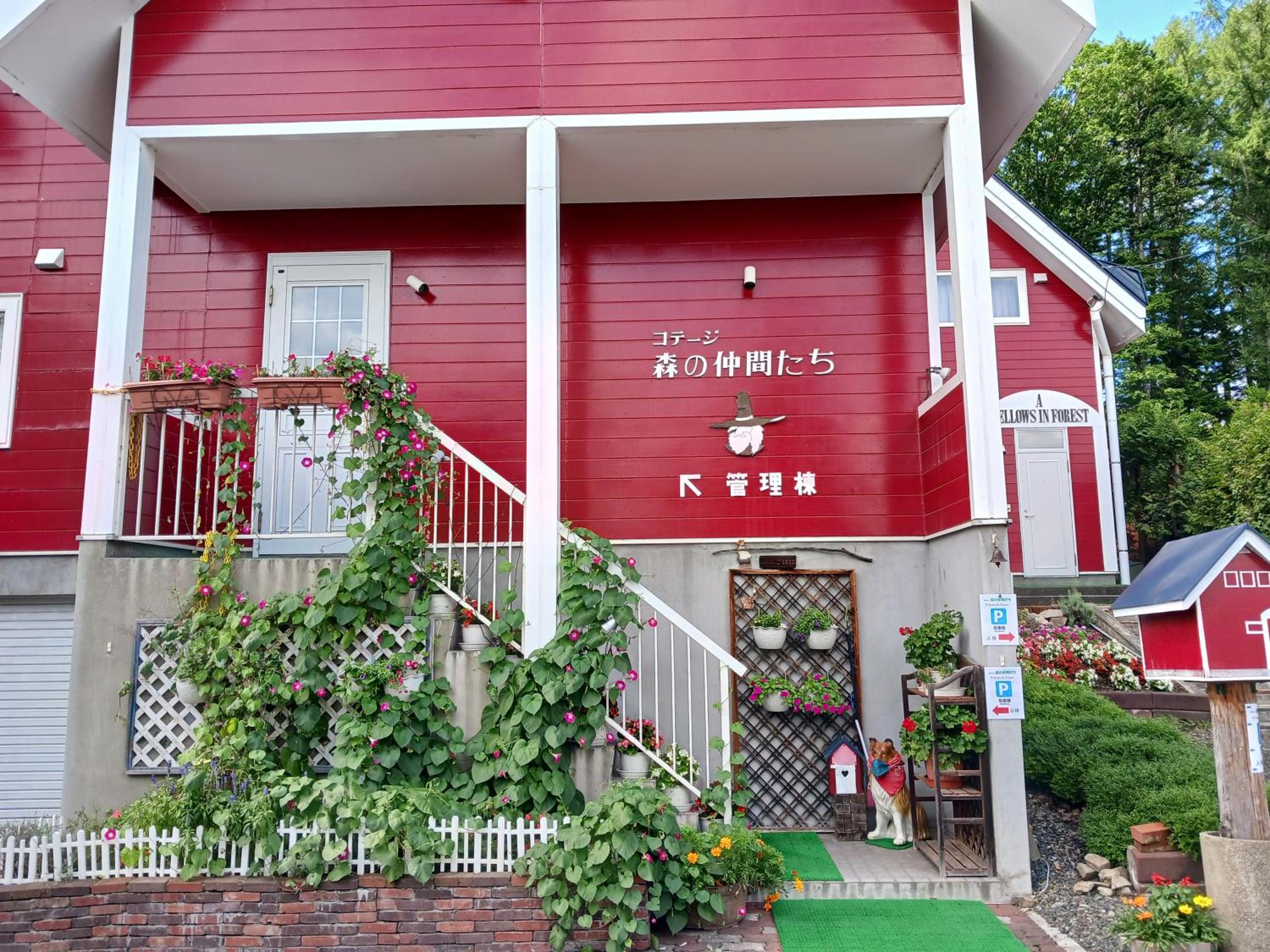 Photo 42