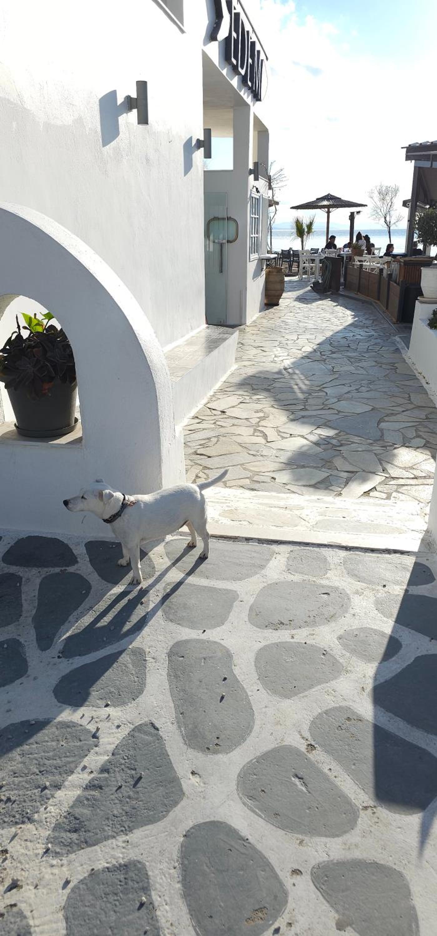 Luxurious Palace Marina Alimos