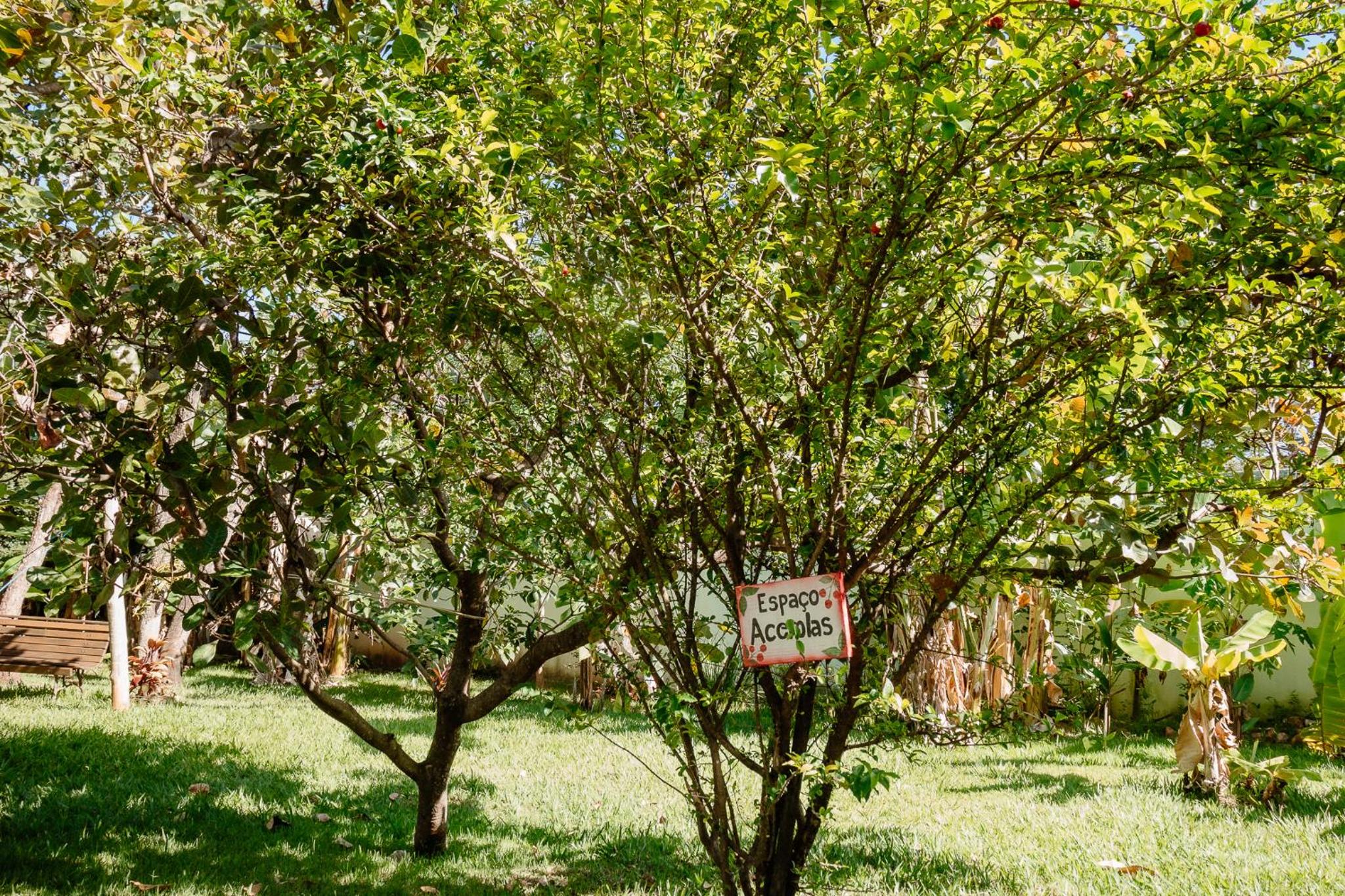 Adega Cipó Pousada Serra do Cipó