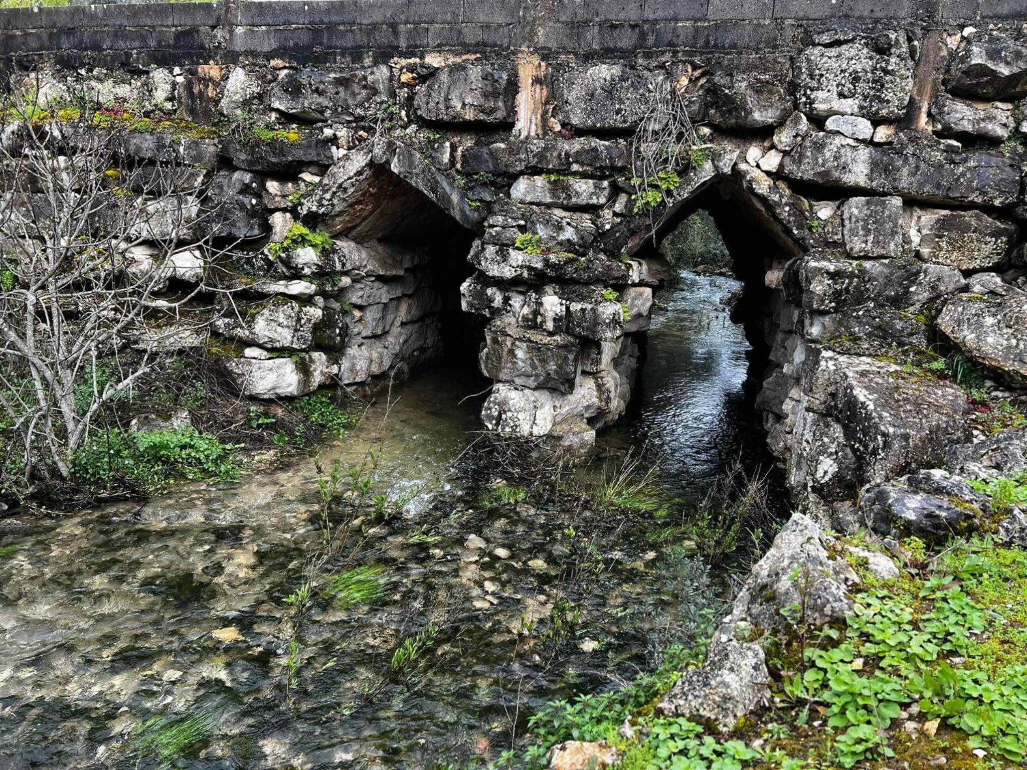 Photo 48