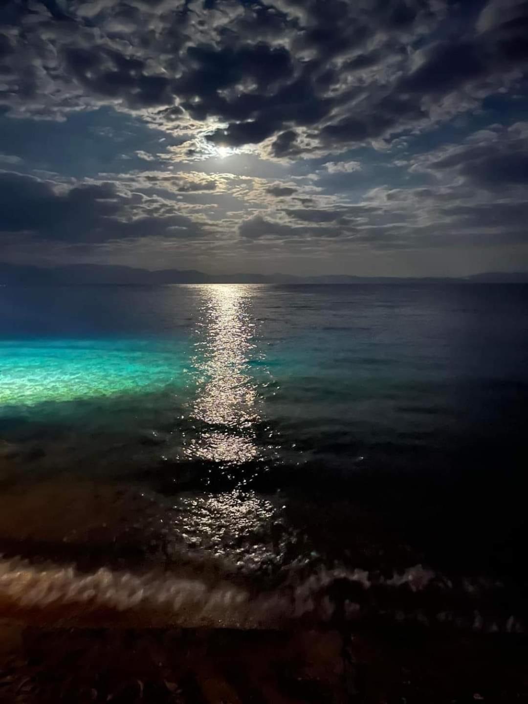 Sunny Dahab Resort Executive Chalet