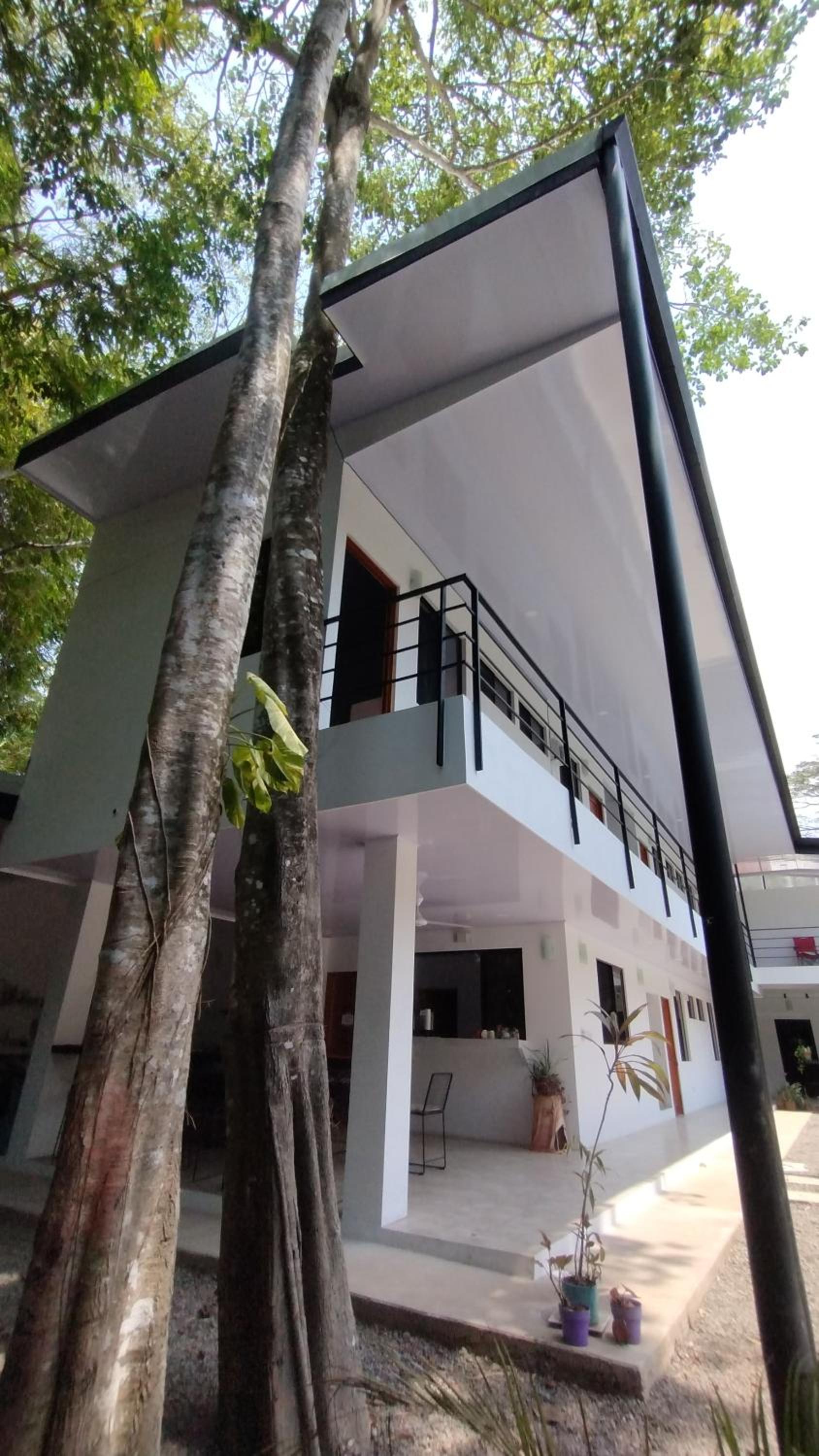 Casajungla Hostel