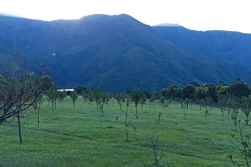 finca de barcena, country house