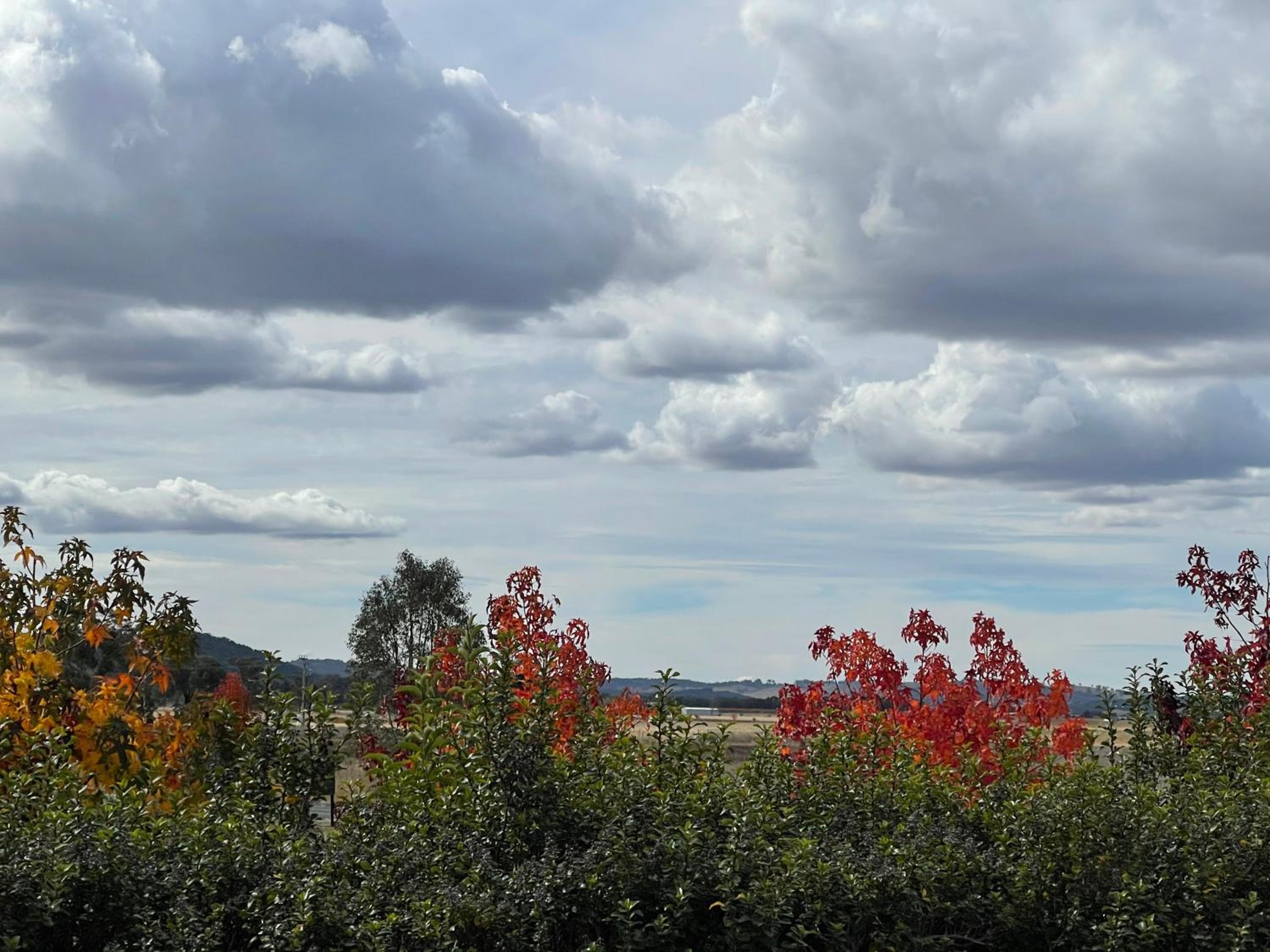 Mudgee Guesthouse