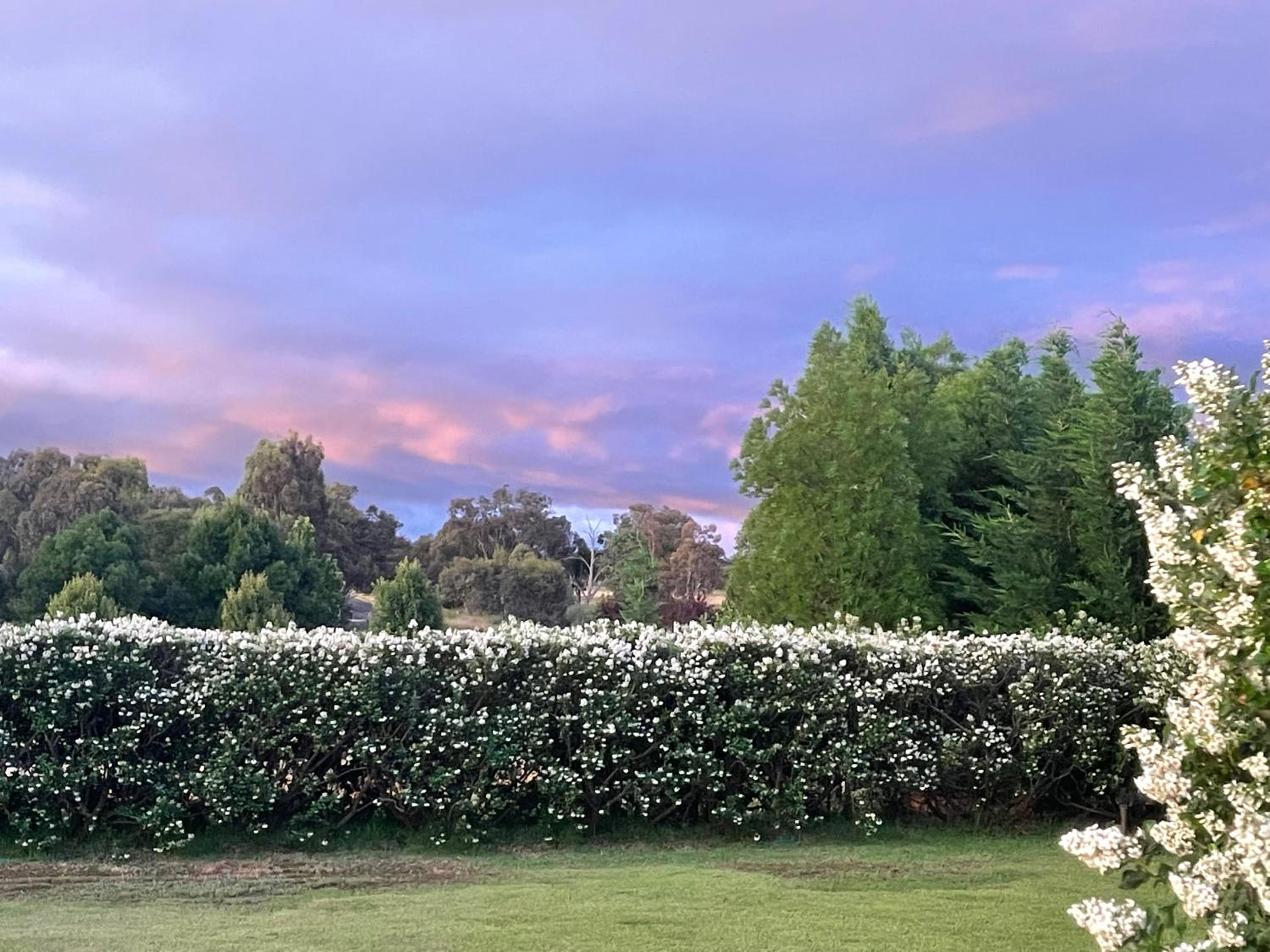 Mudgee Guesthouse