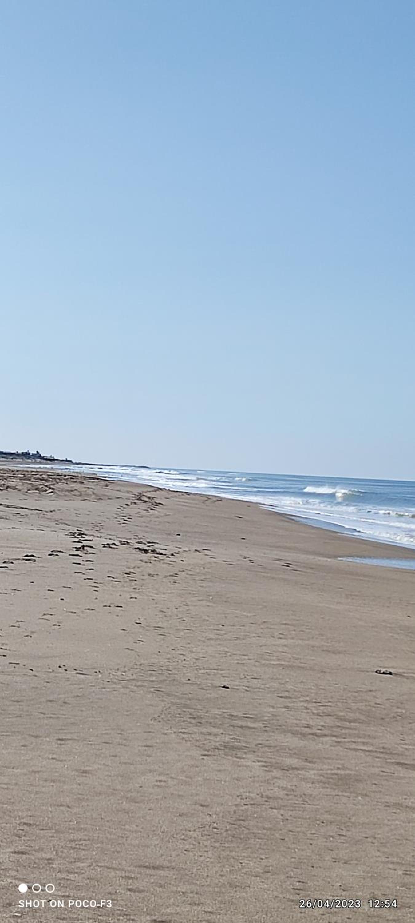 Alquimia Qi del Mar