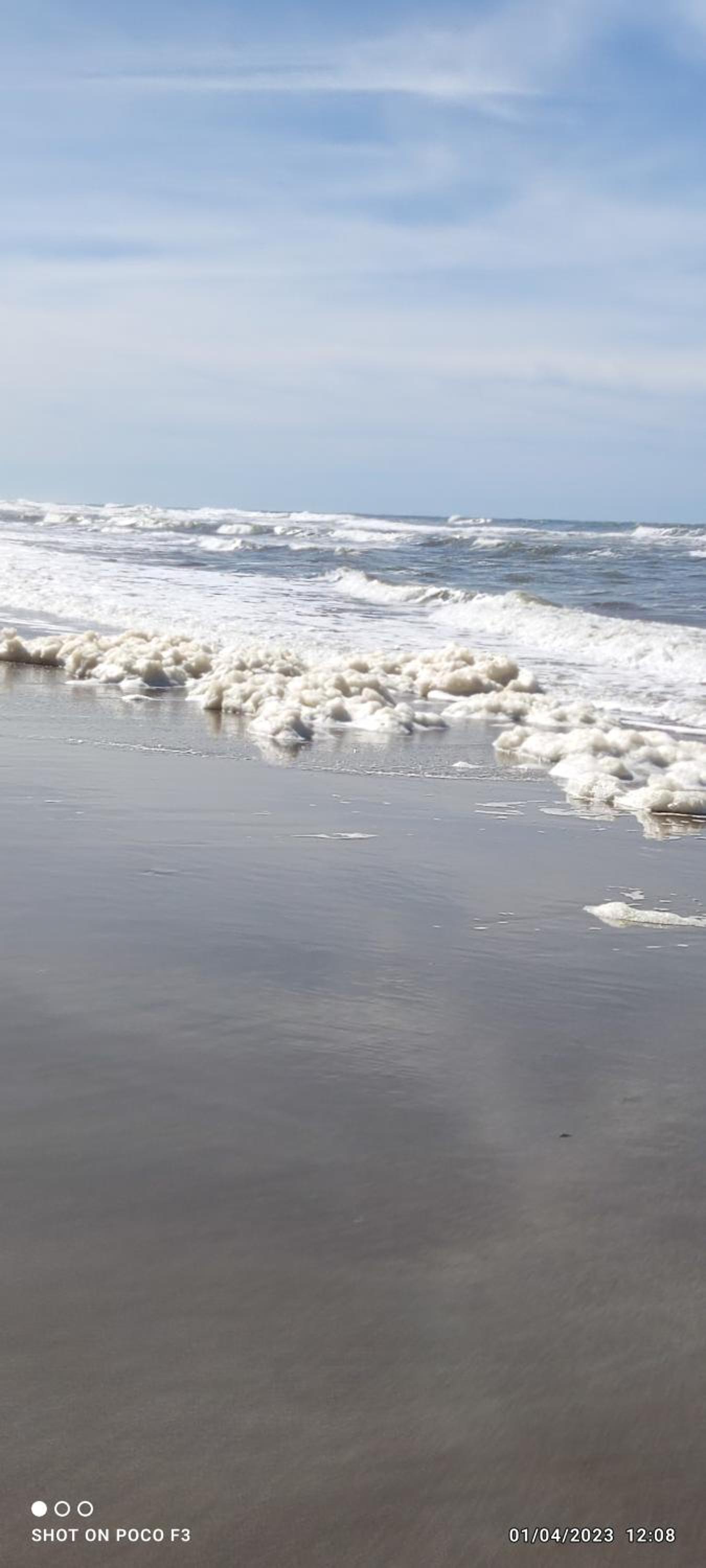 Alquimia Qi del Mar