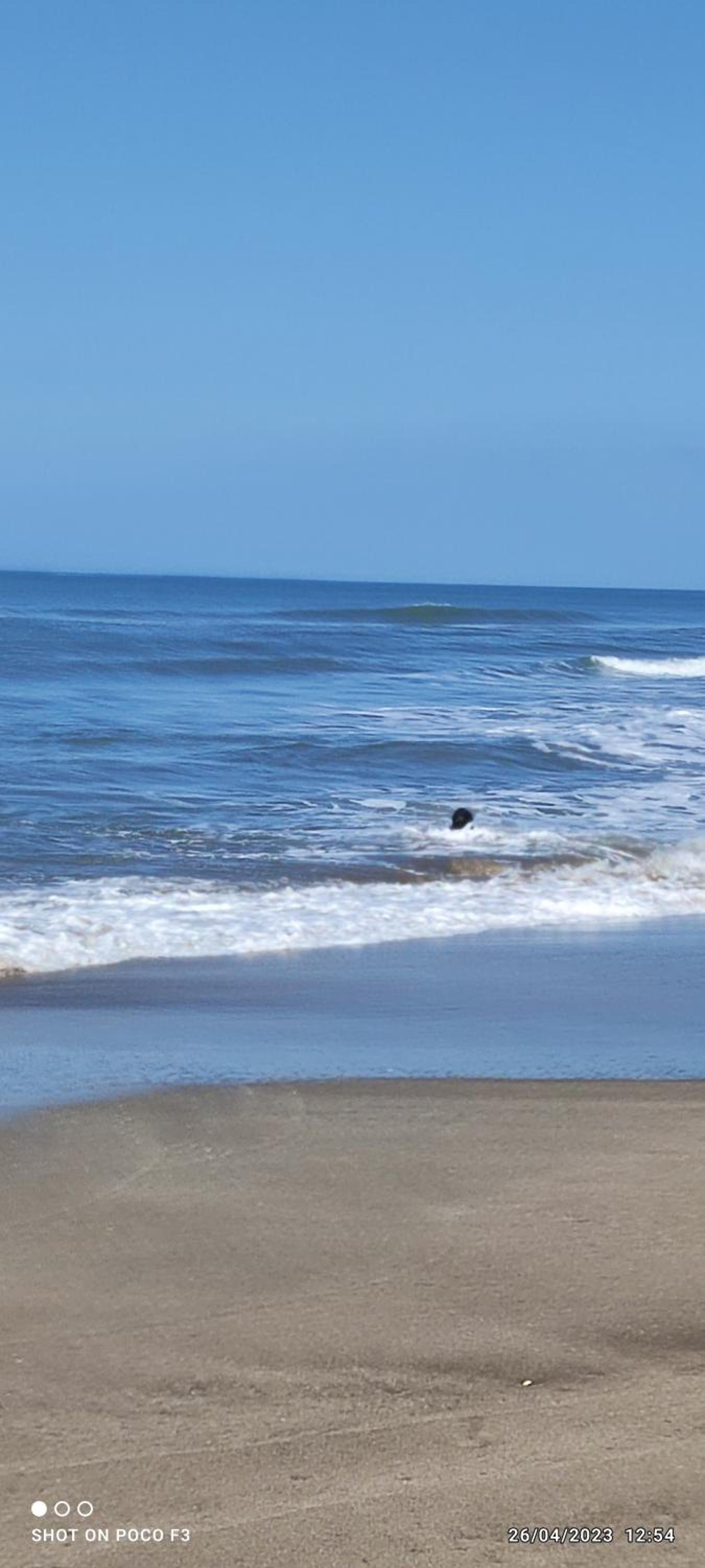 Alquimia Qi del Mar