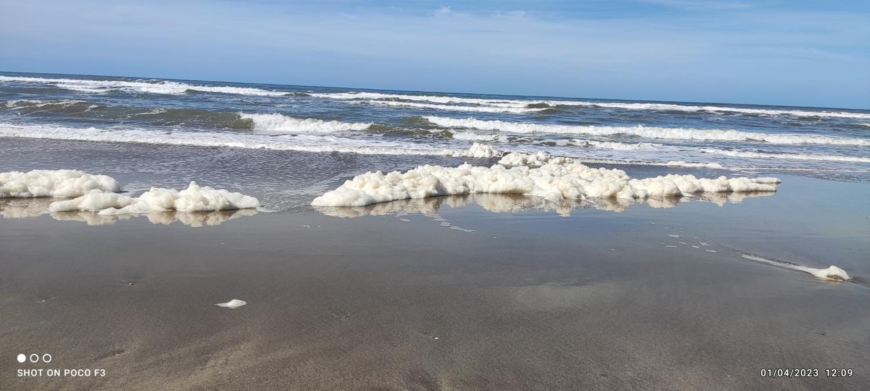Alquimia Qi del Mar