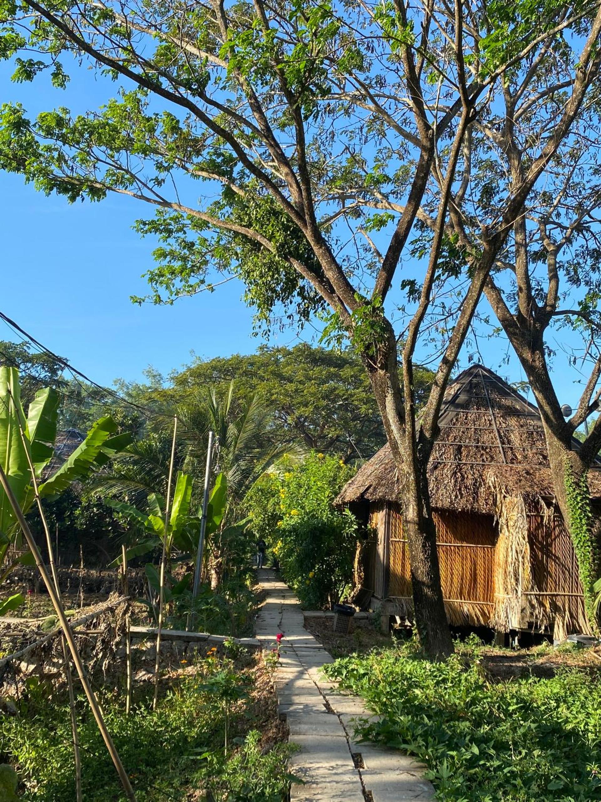 Dan Sinh Homestay view 2