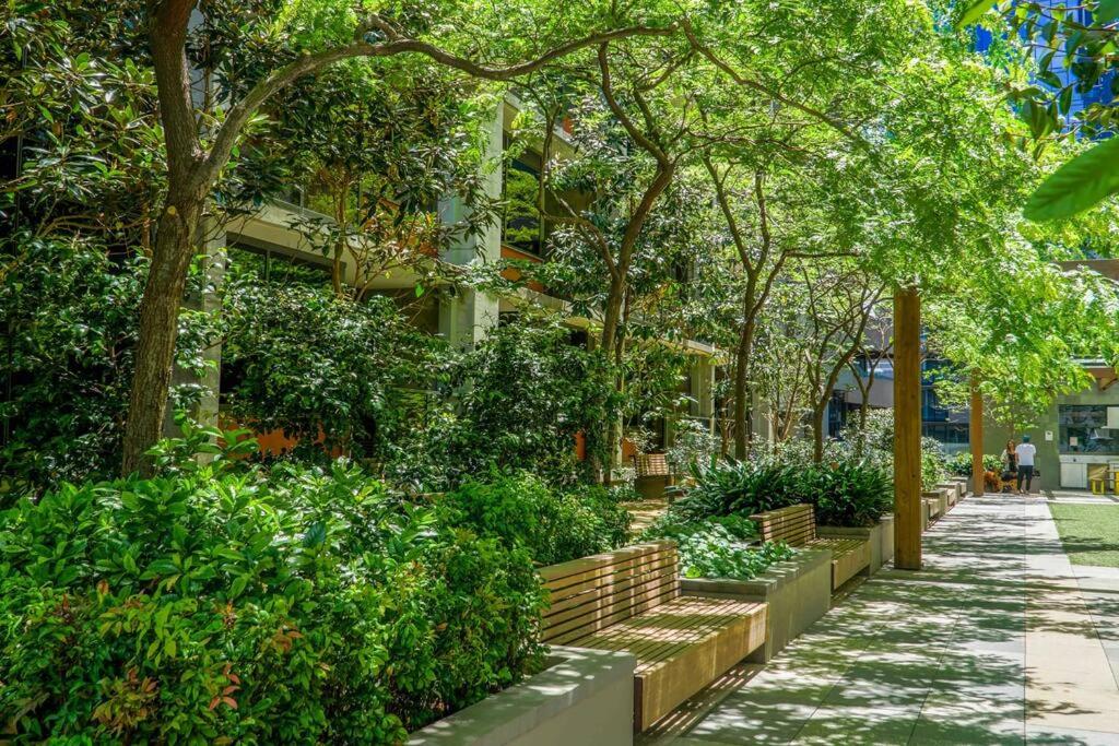 Best location in the CBD; pool, gym, rockclimbing +7 other amenities