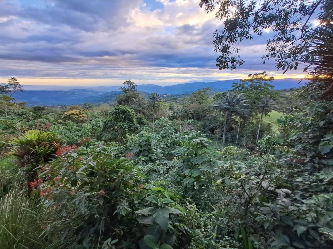 Finca San José