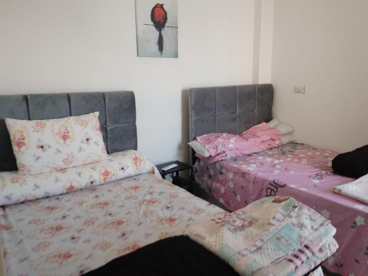 New and comfortable apt in madinaty compound
