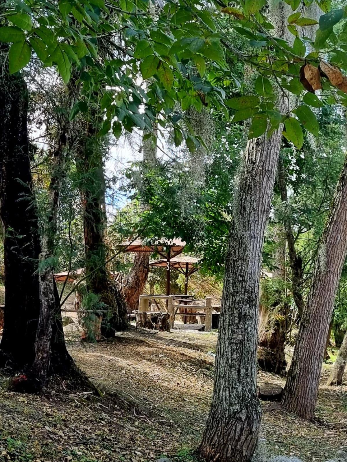 Alojamiento Villa Toscana