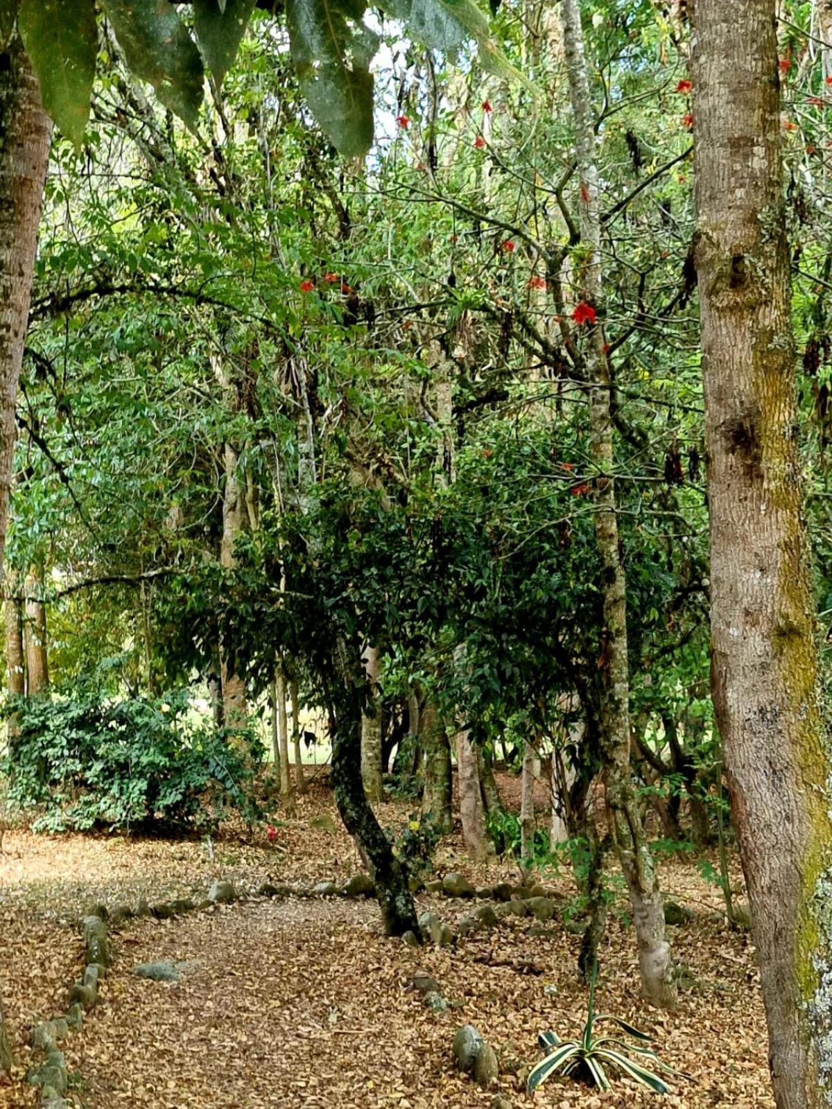 Alojamiento Villa Toscana