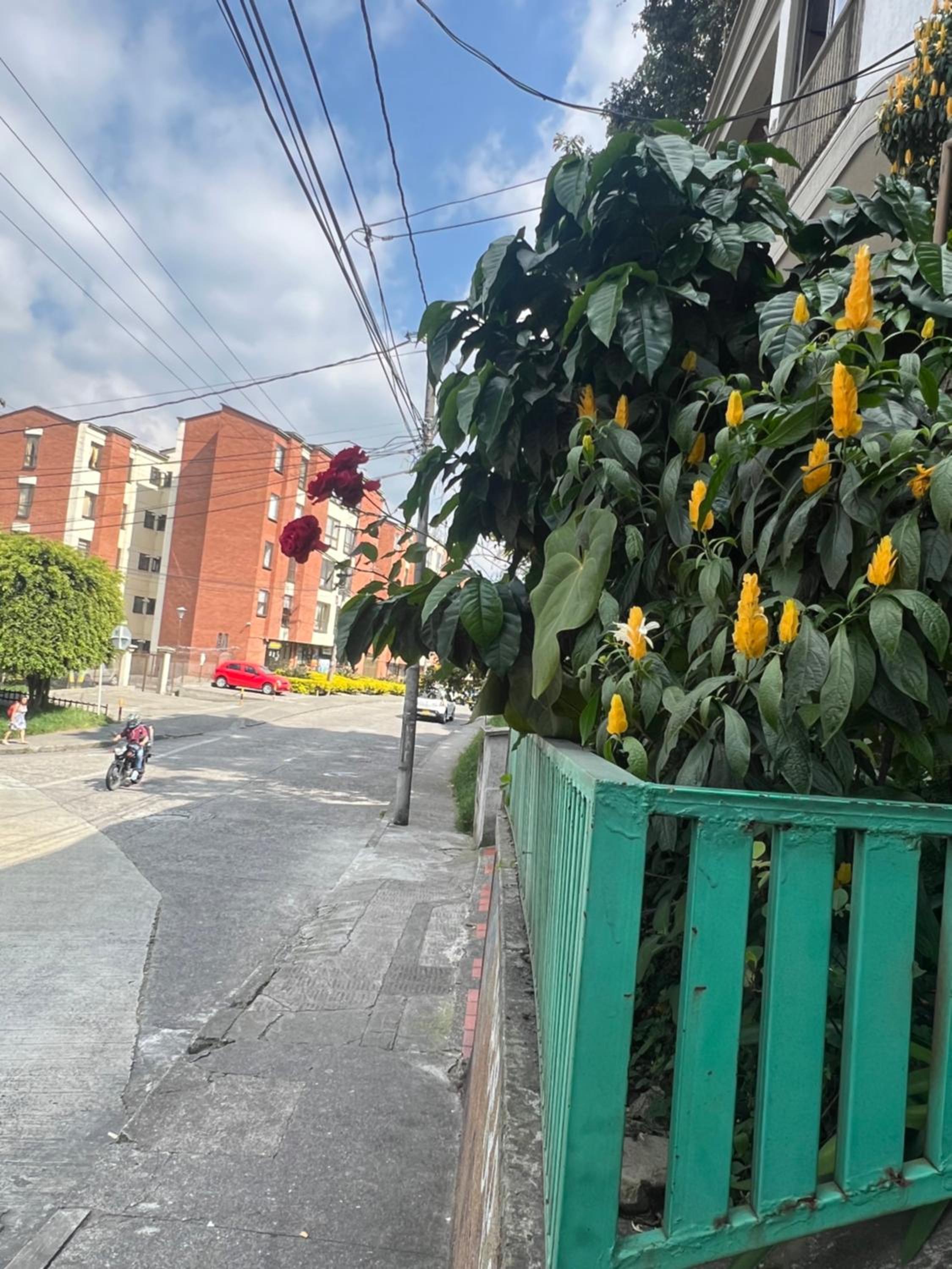Apartamento cerca mall plaza