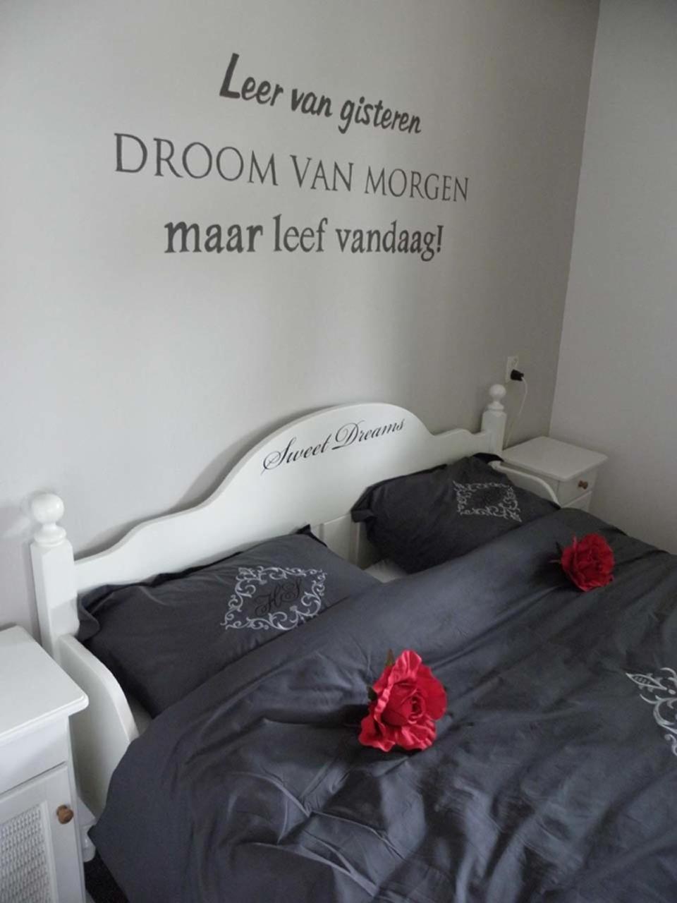 Carpe Diem view 5