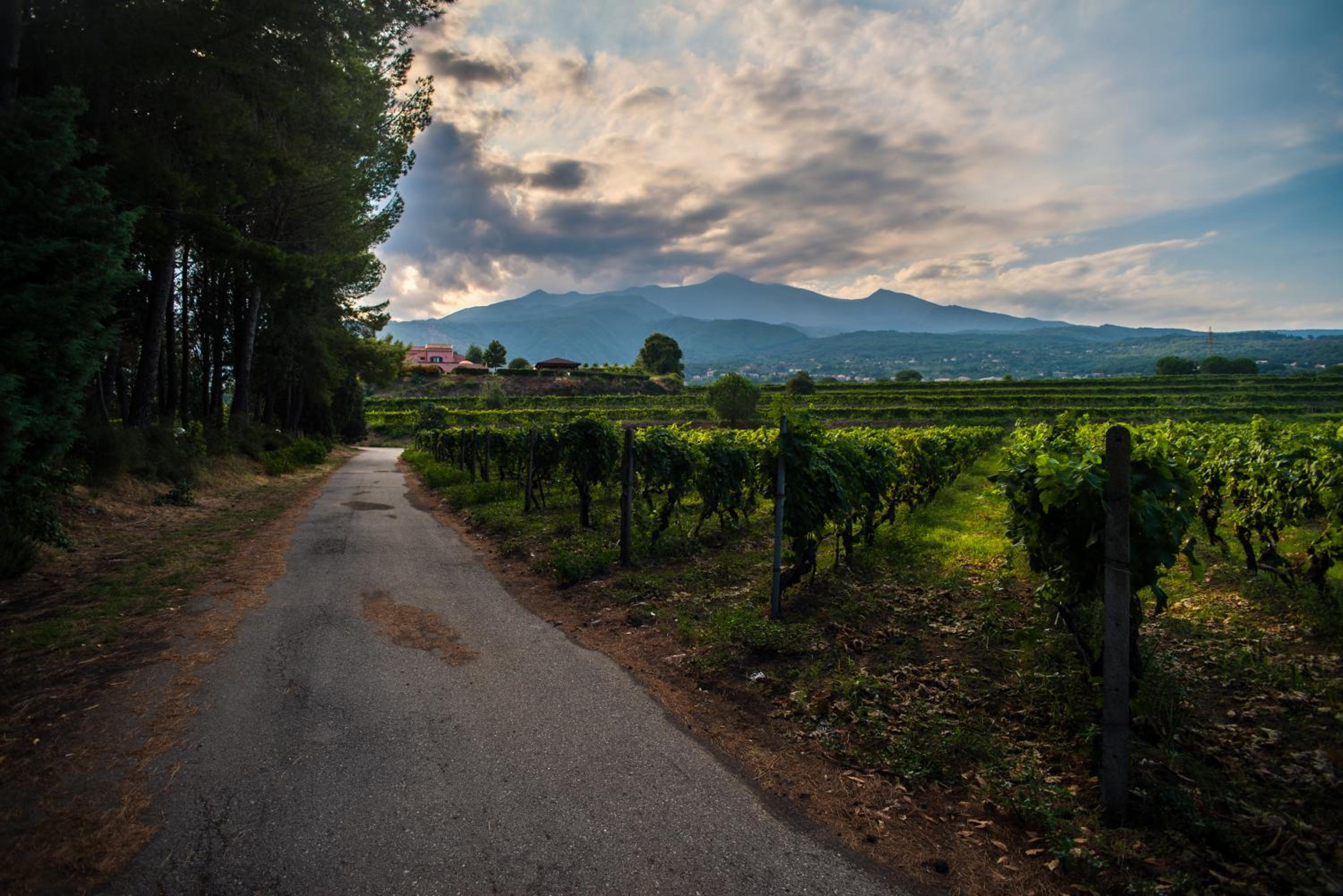 Agriturismo Tenuta San Michele