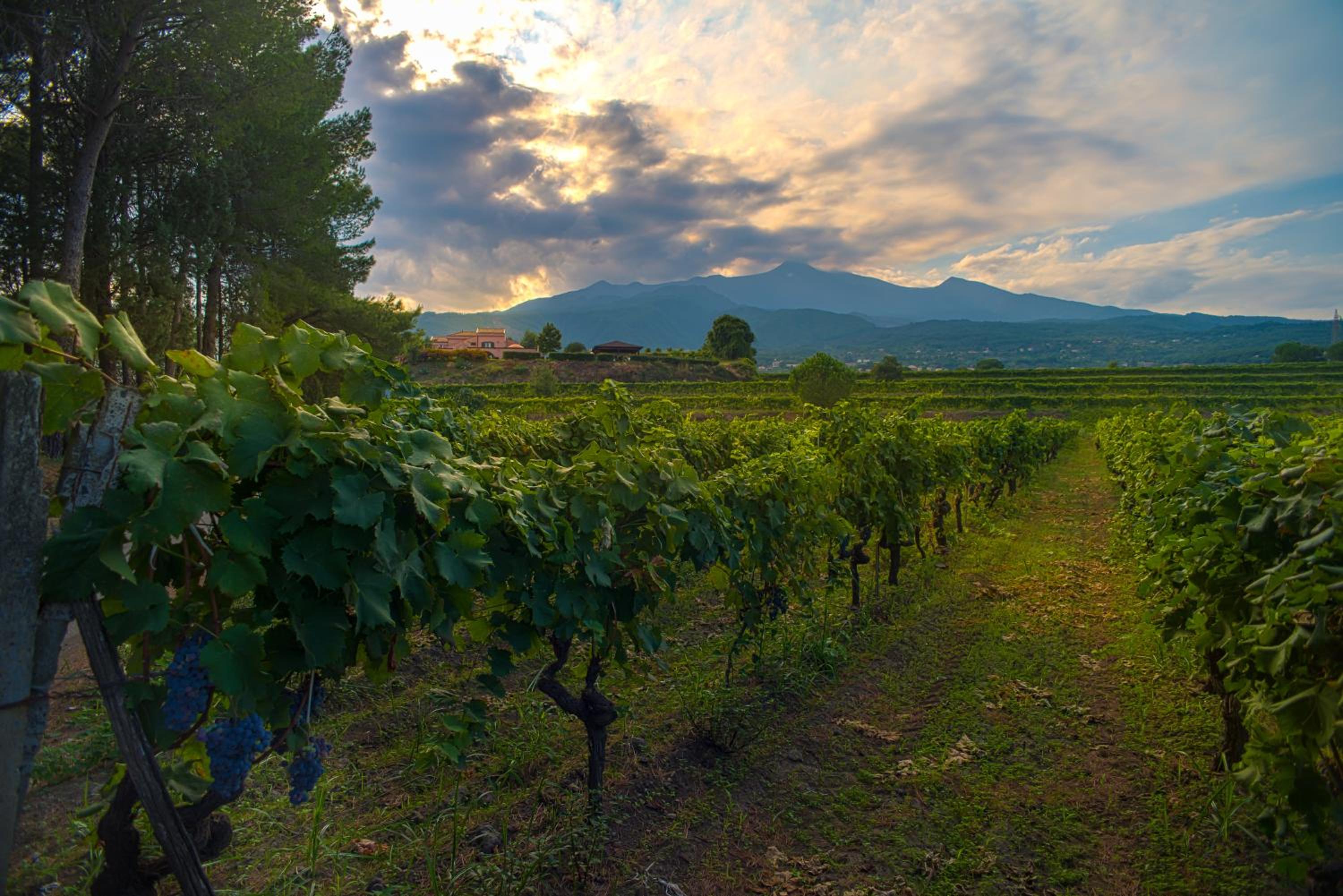 Agriturismo Tenuta San Michele