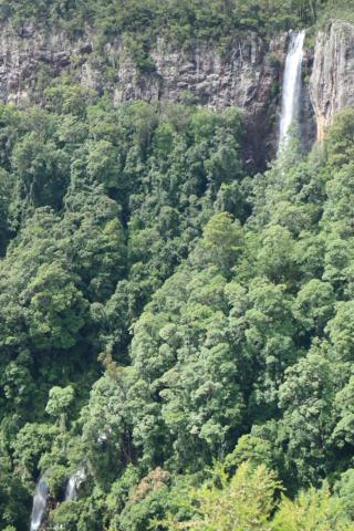 Rosella's On Springbrook