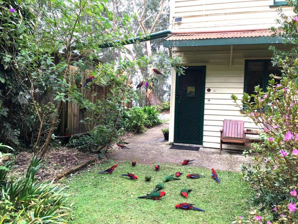 Rosella's On Springbrook