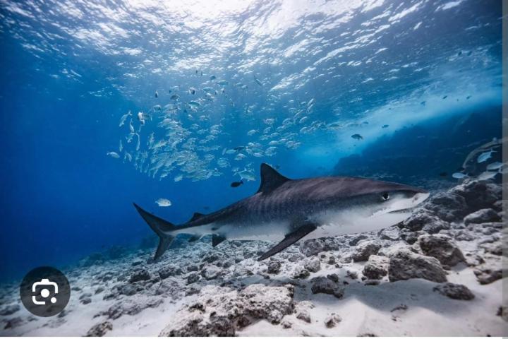 Secret Escape photo 2