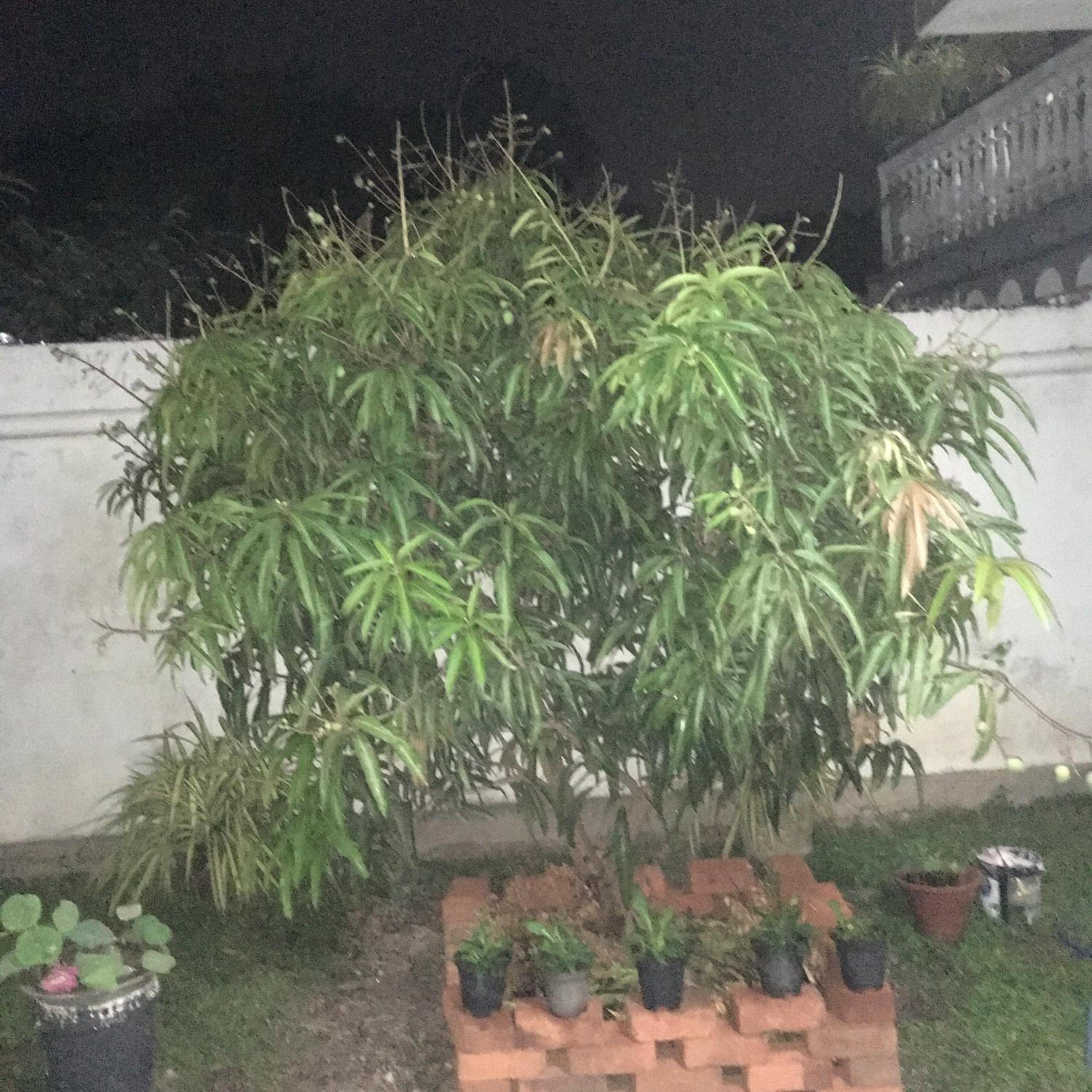 Photo 26