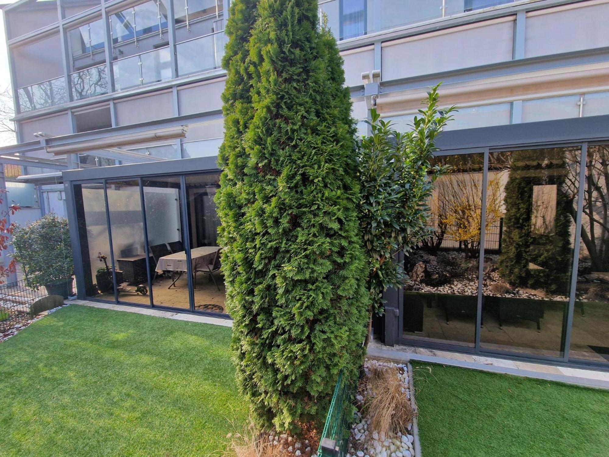 Photo 41