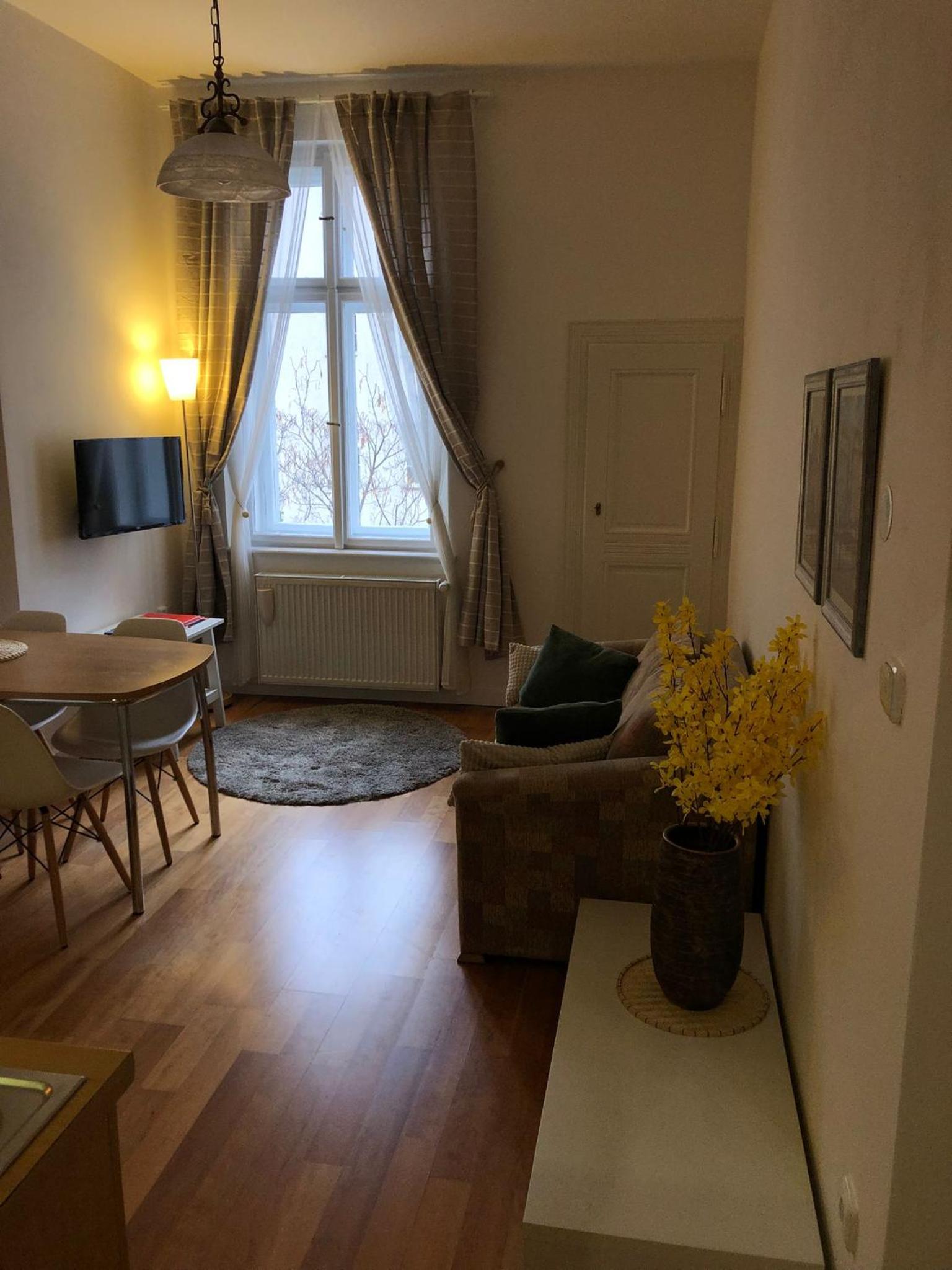 Prague Apartment JanLouis